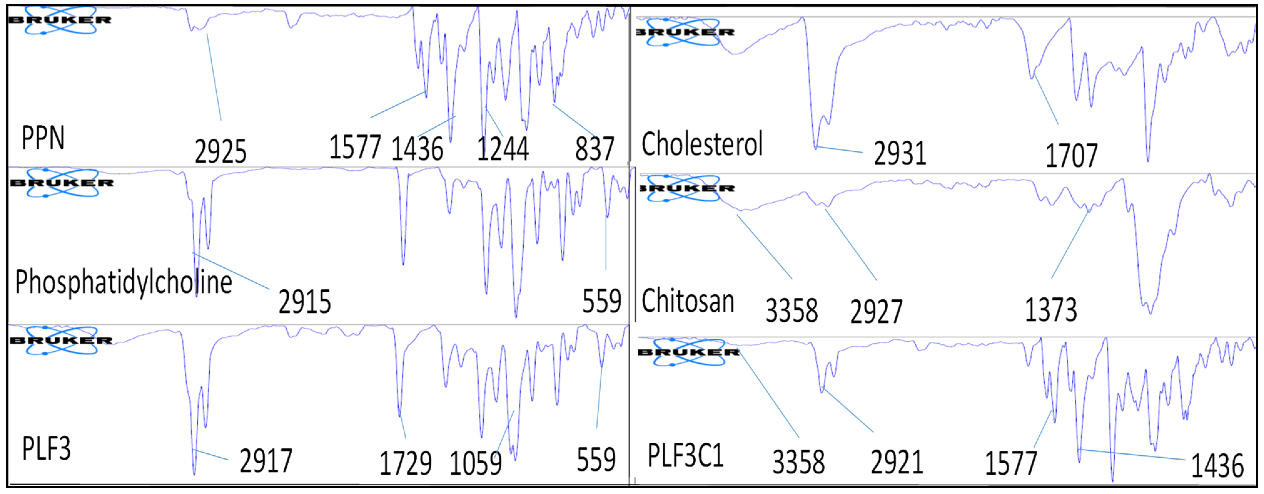 Molecules 26 03281 g002 Molecules 26 03281 g002