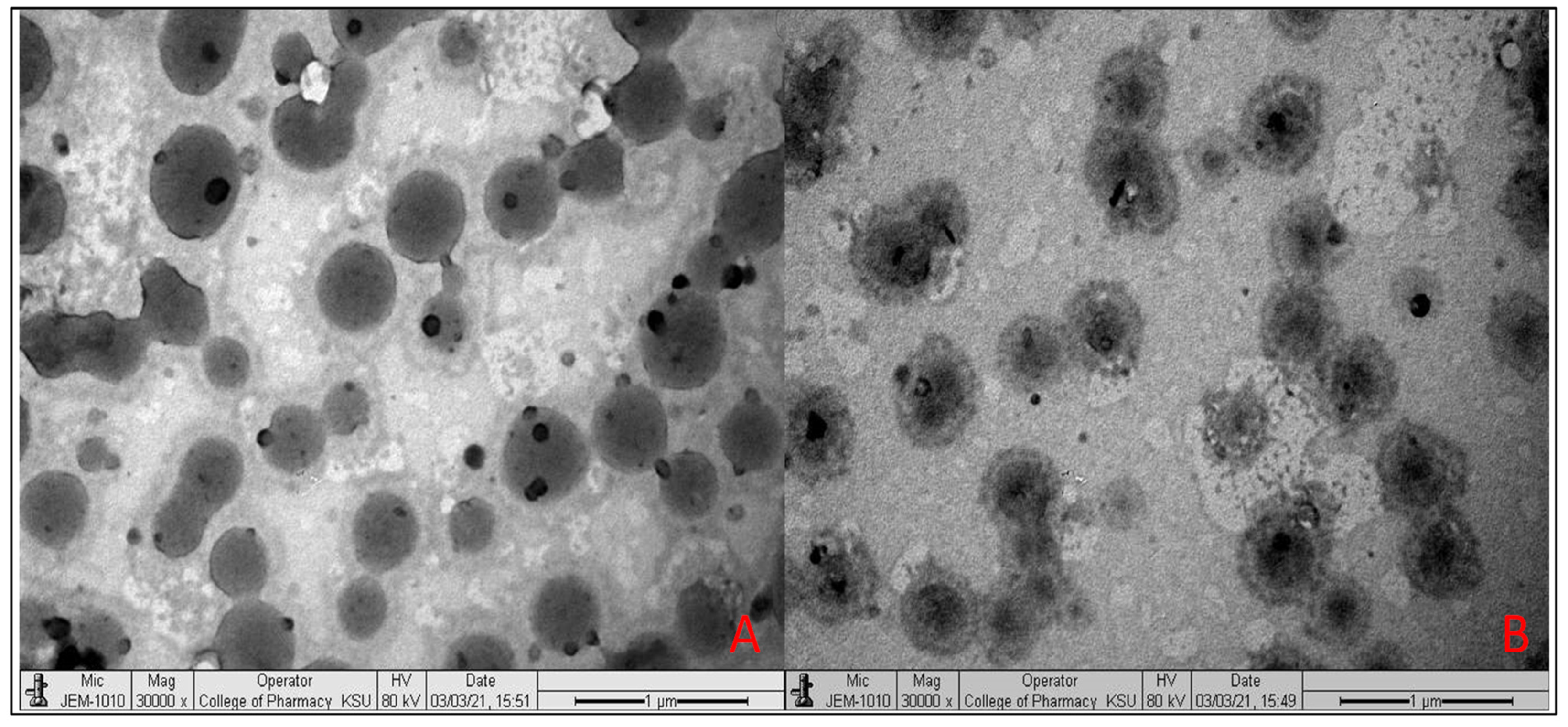 Molecules 26 03281 g003 Molecules 26 03281 g003
