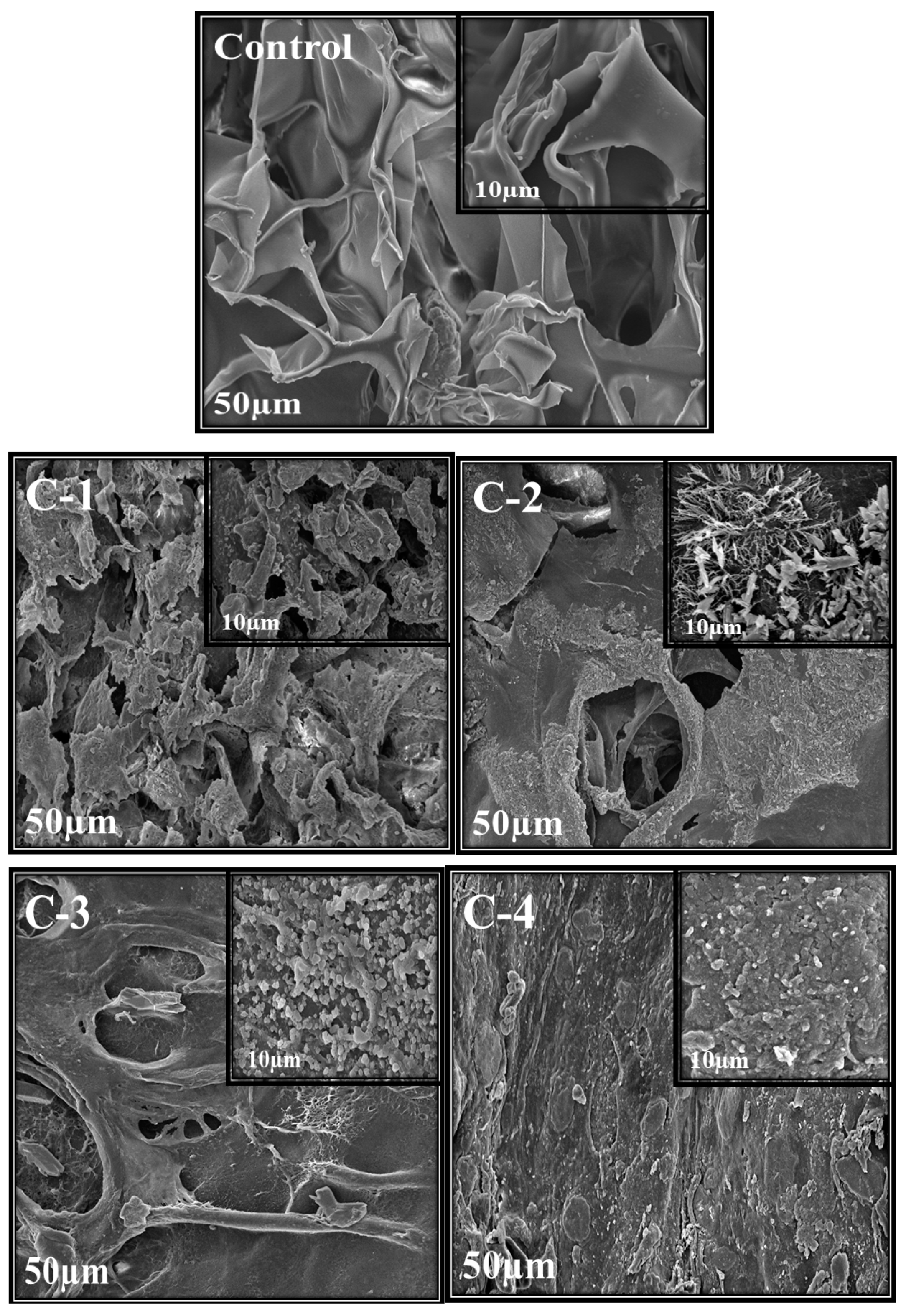 Molecules 26 03284 g003