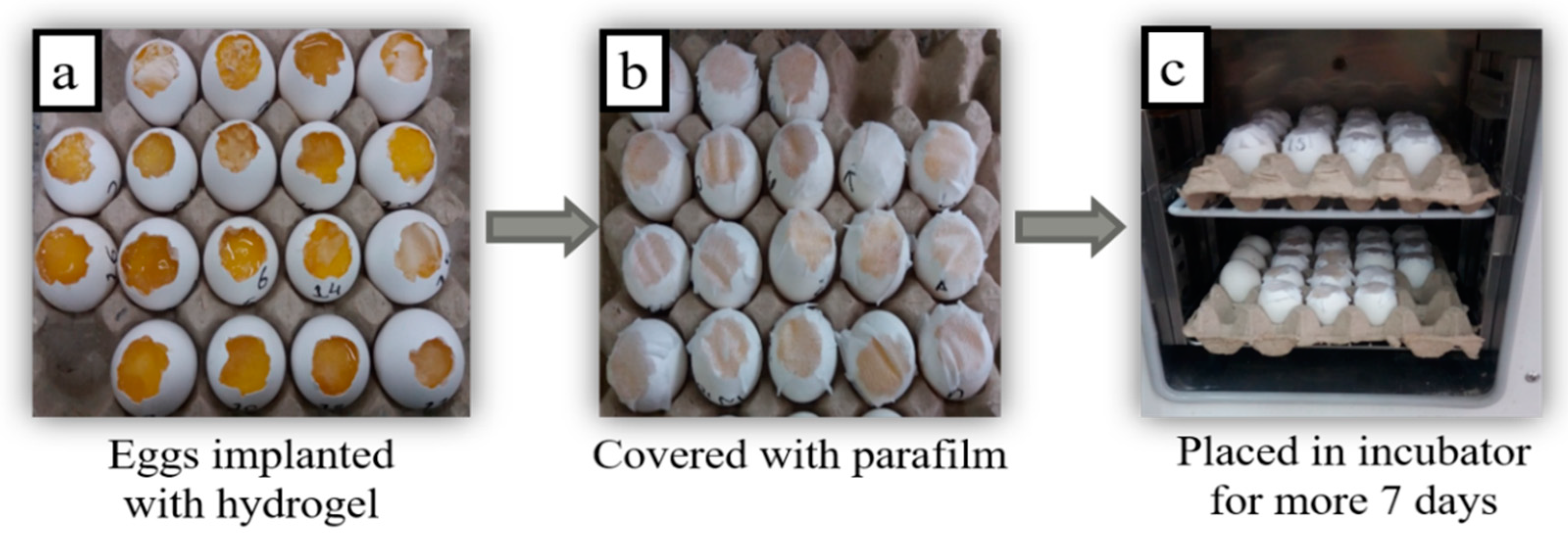 Molecules 26 03284 g006