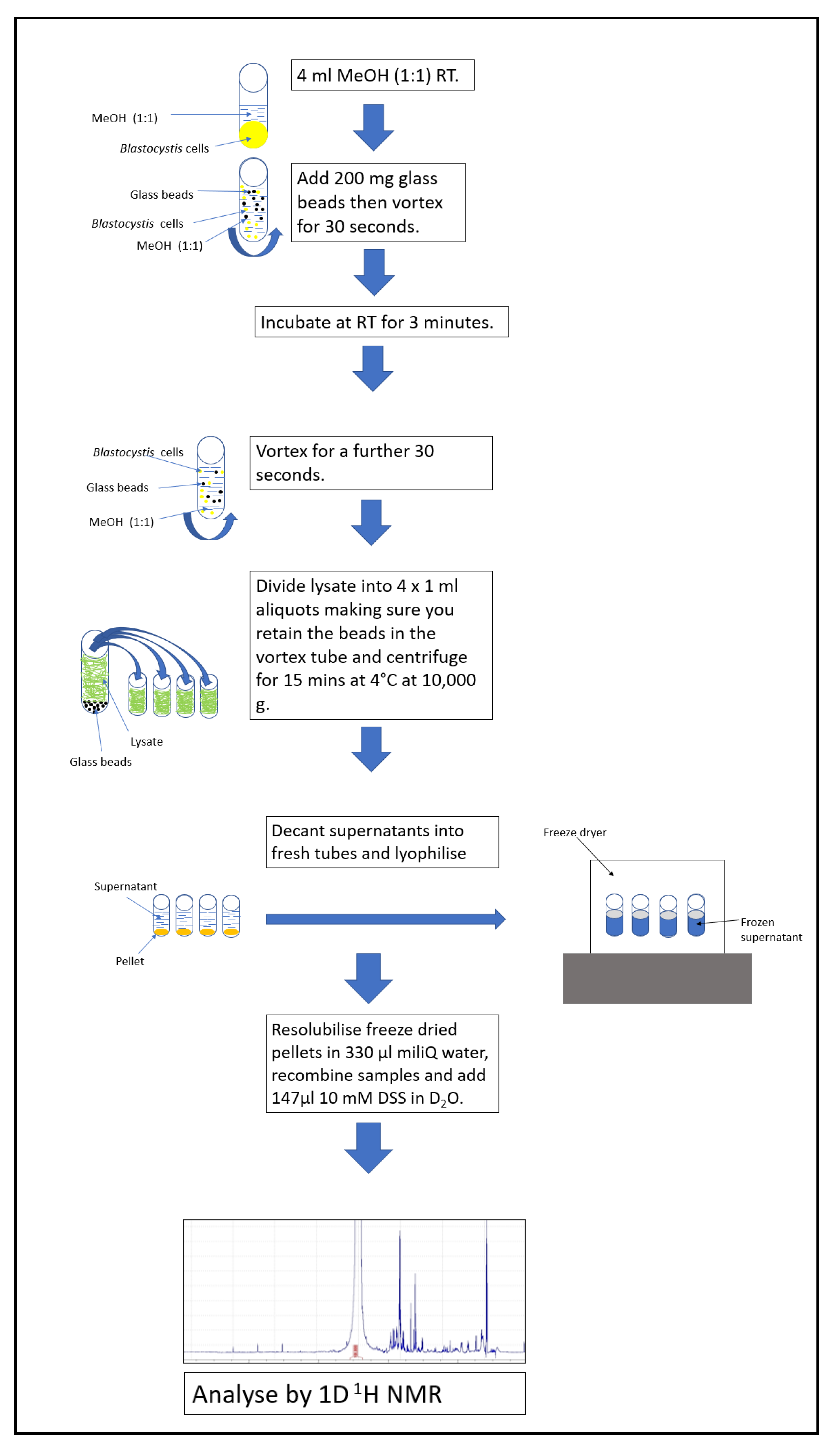 Molecules 26 03285 g004 Molecules 26 03285 g004