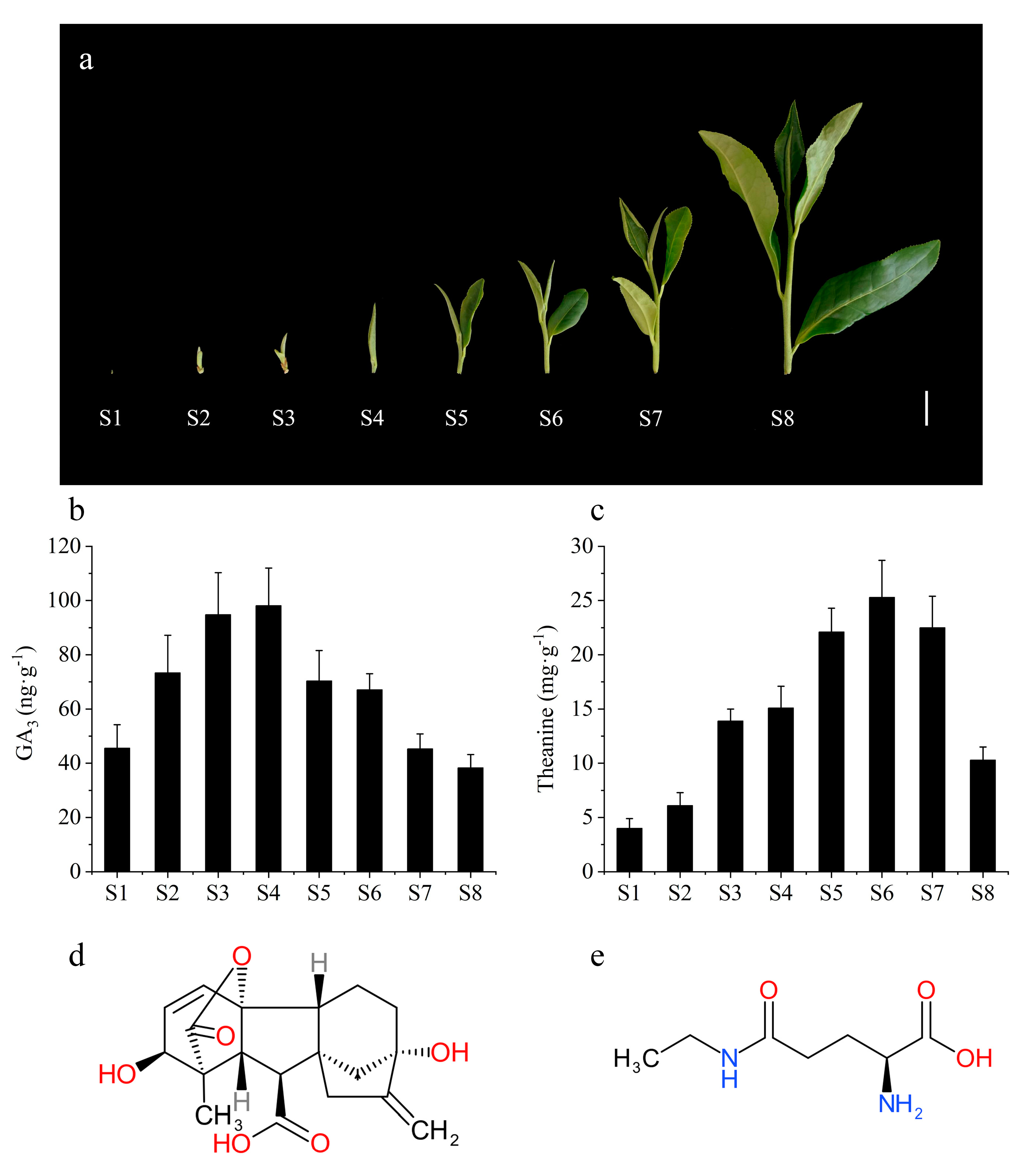 Molecules 26 03290 g001 Molecules 26 03290 g001