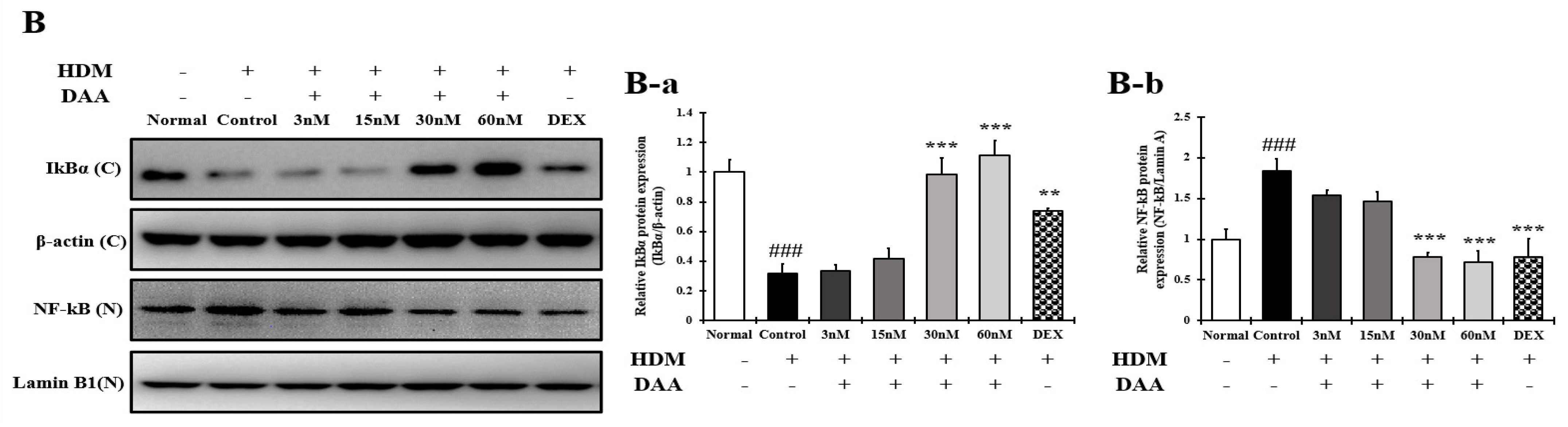 Molecules 26 03298 g016b