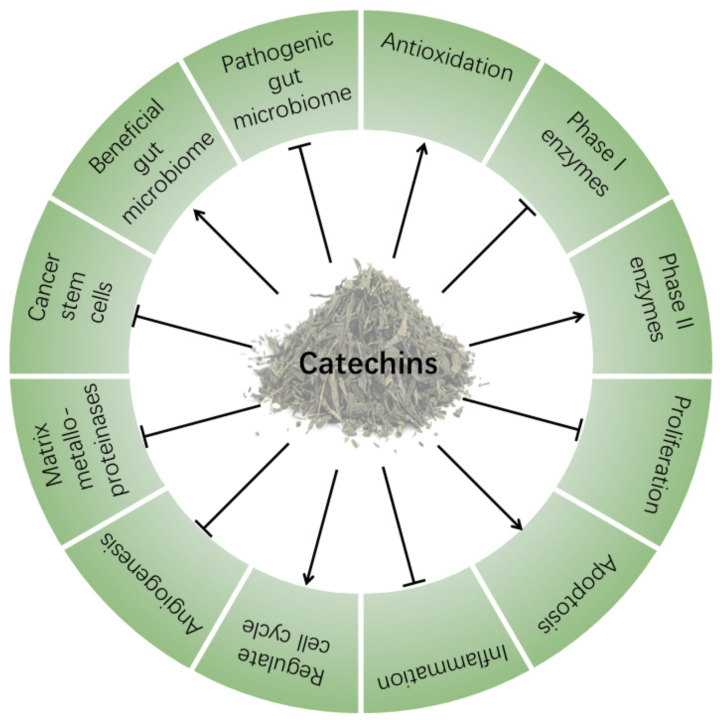 Molecules 26 03301 g002 Molecules 26 03301 g002