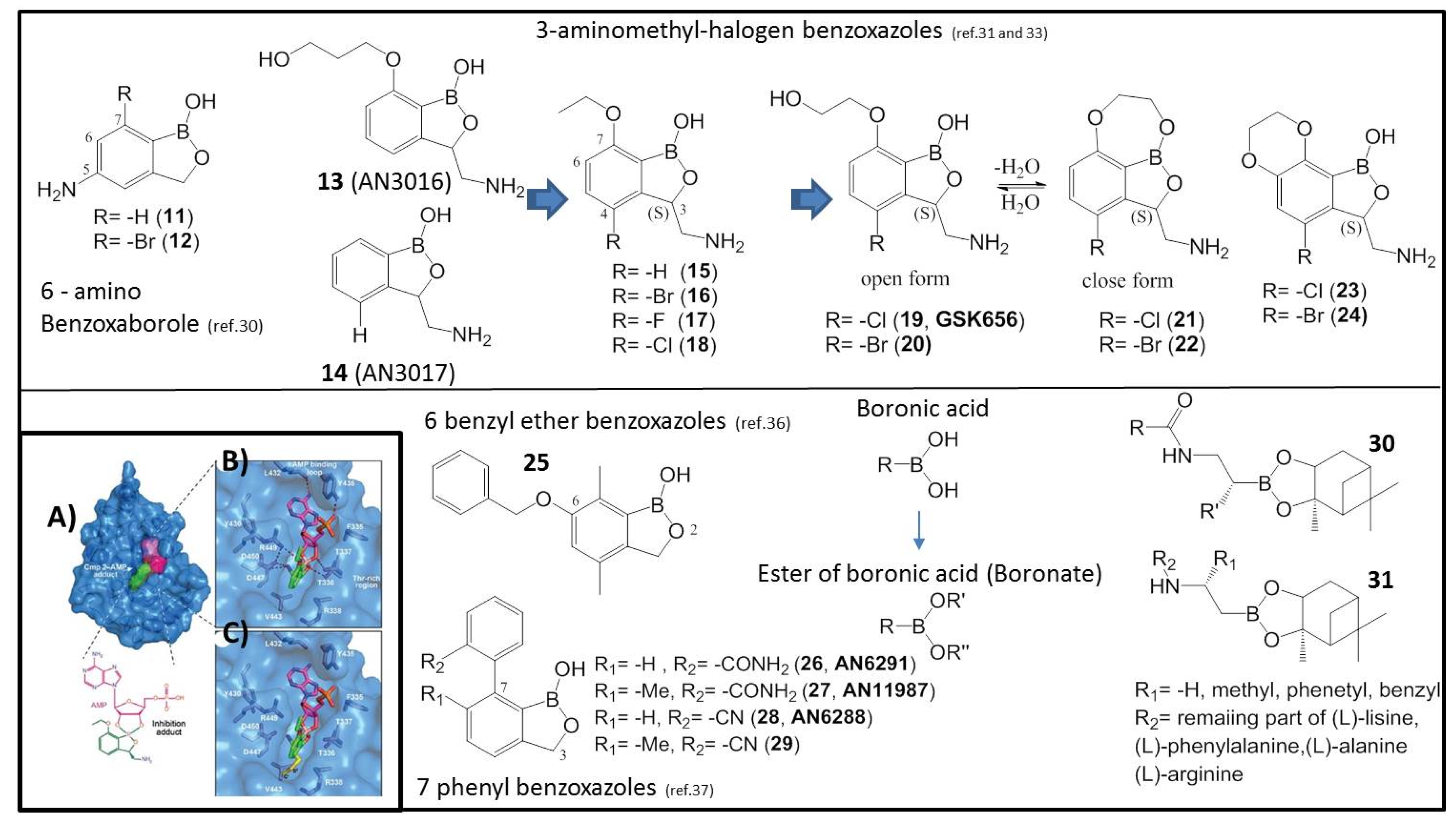 Molecules 26 03309 g003