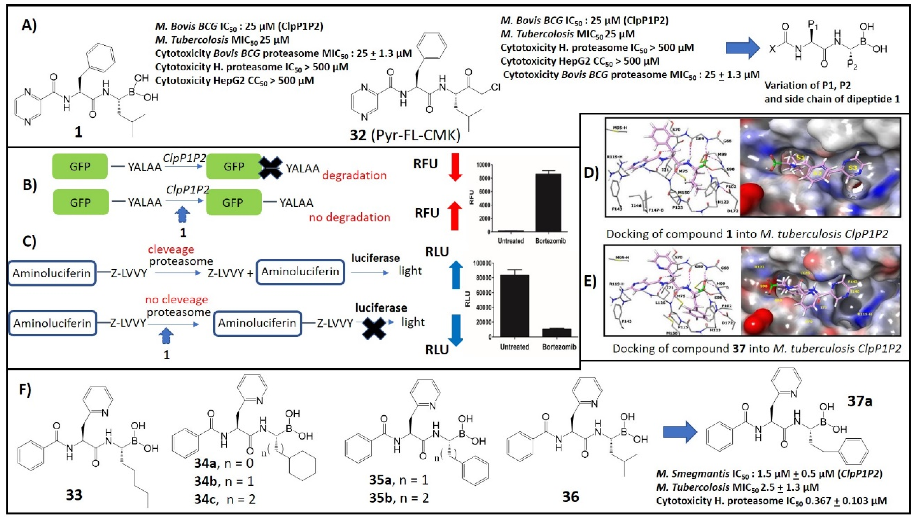 Molecules 26 03309 g004