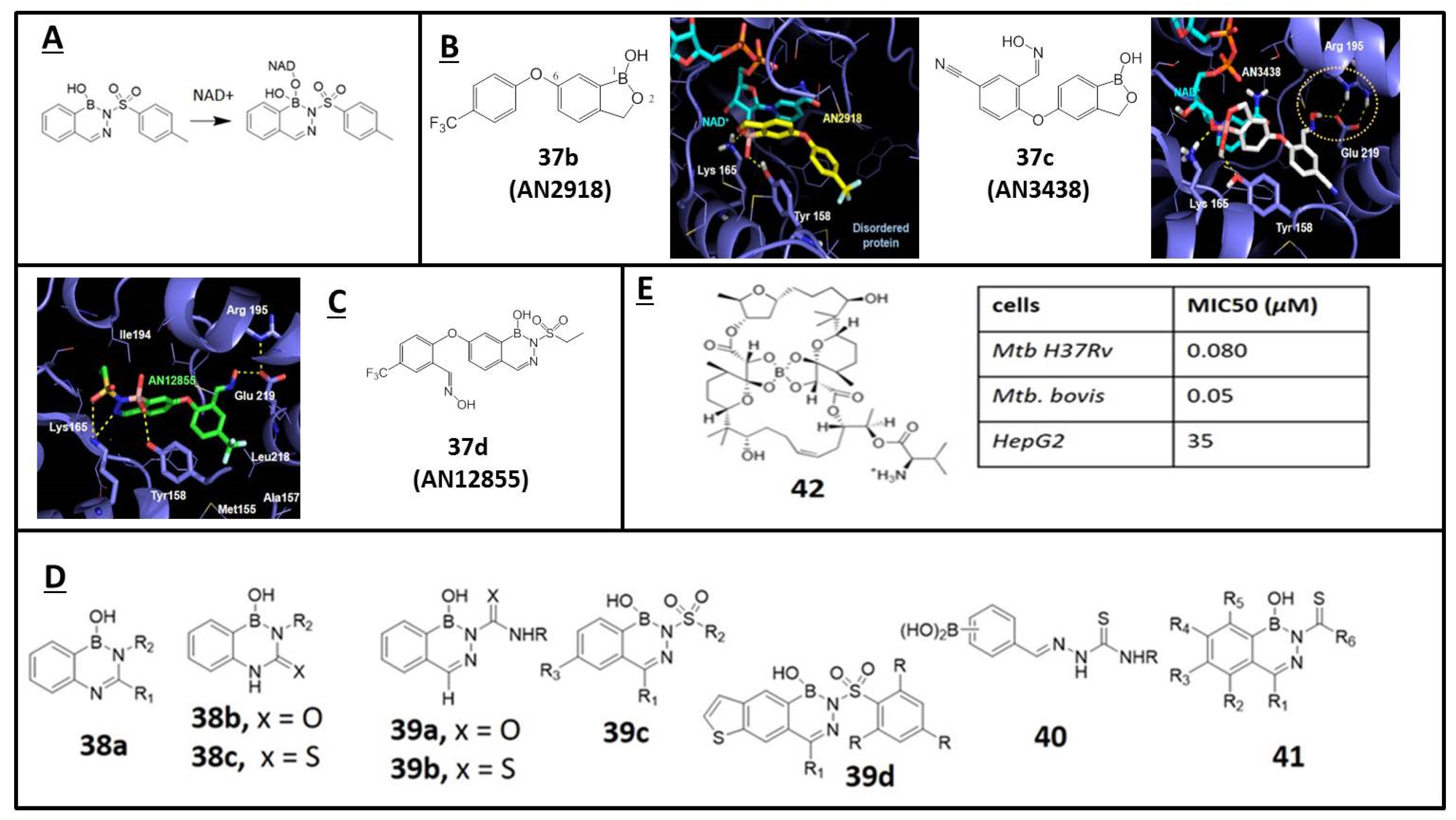 Molecules 26 03309 g005