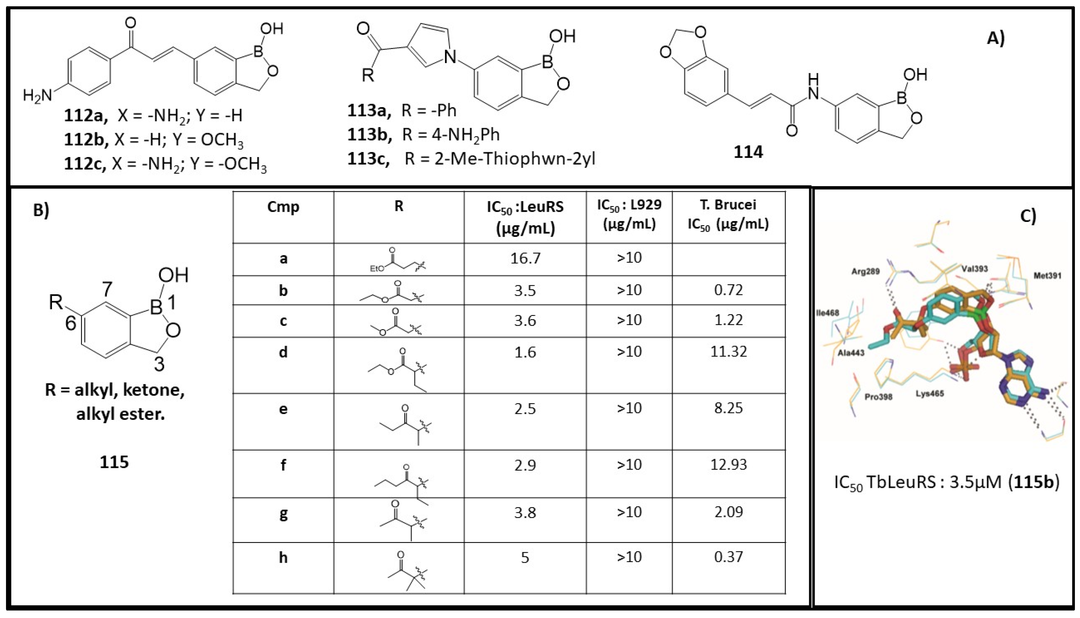 Molecules 26 03309 g012
