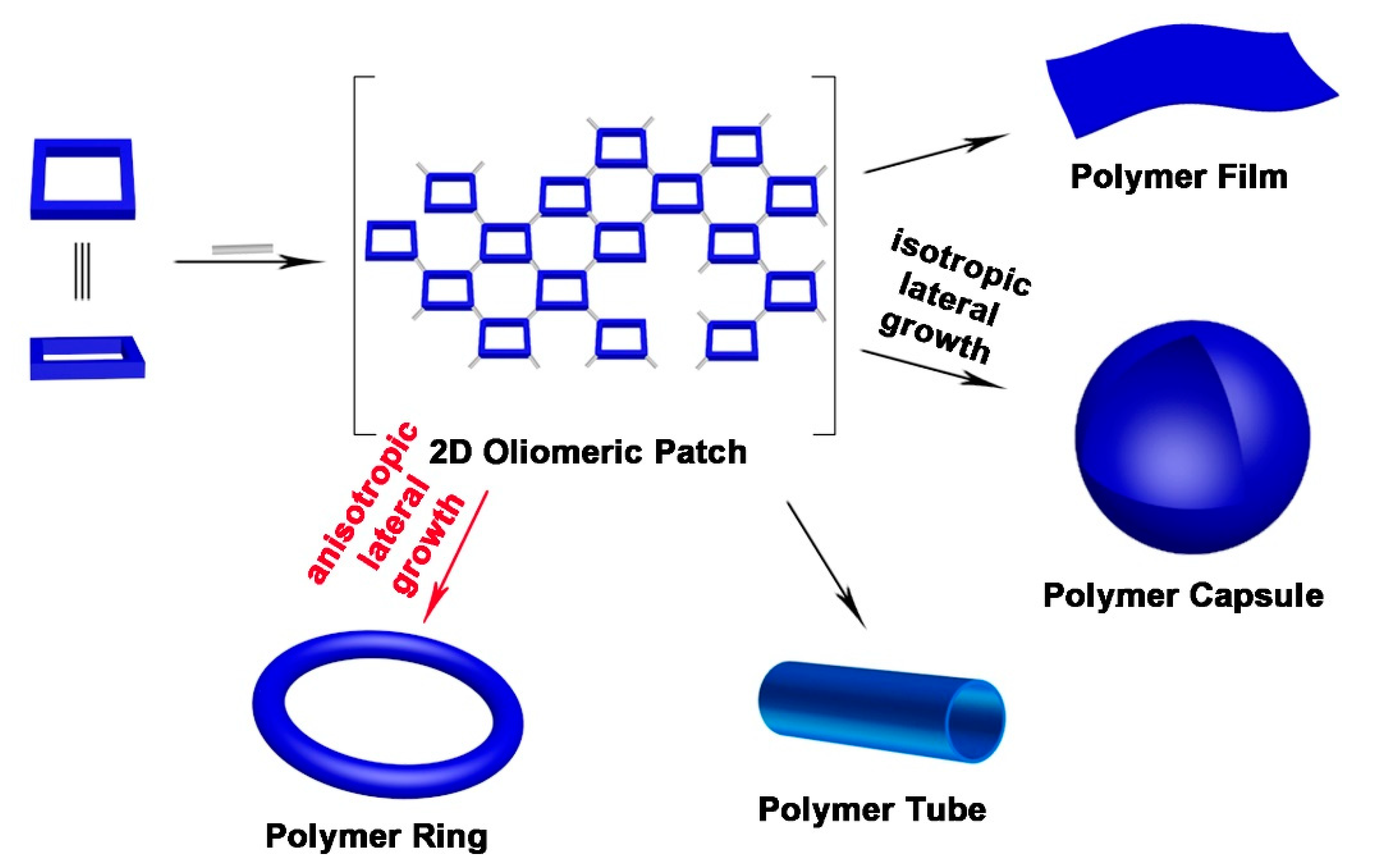 Molecules Free FullText TemplateFree SelfAssembly of Two