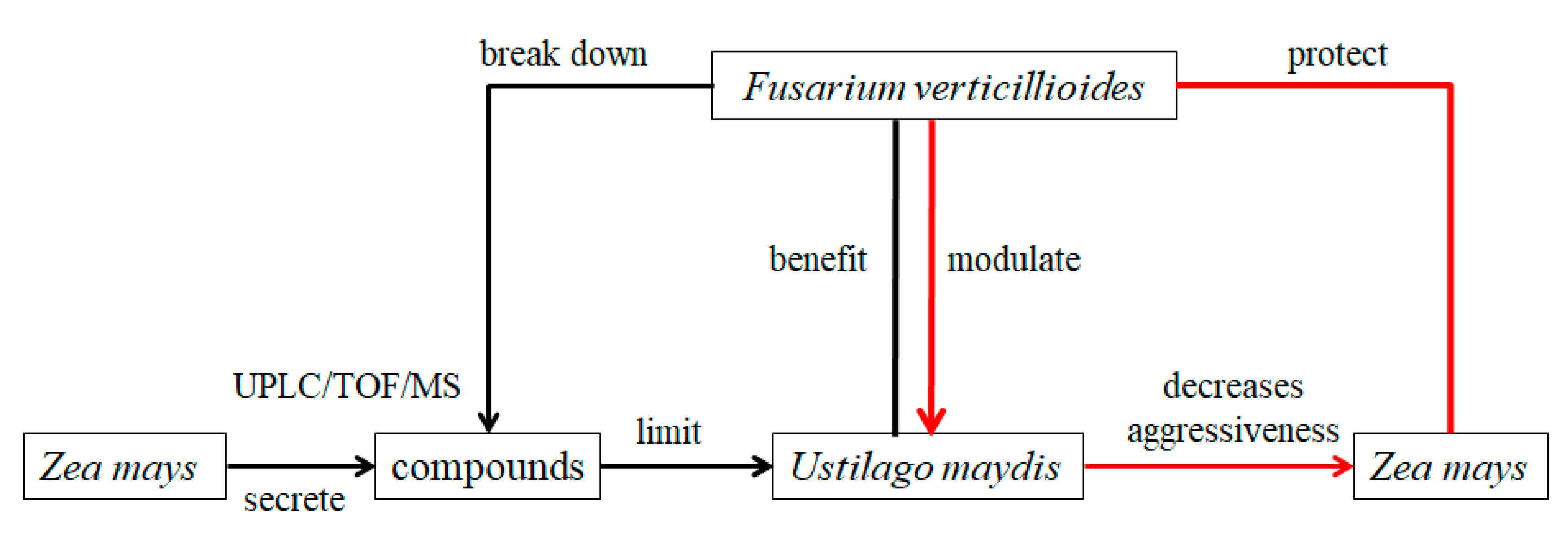 Molecules 26 03311 g003 Molecules 26 03311 g003