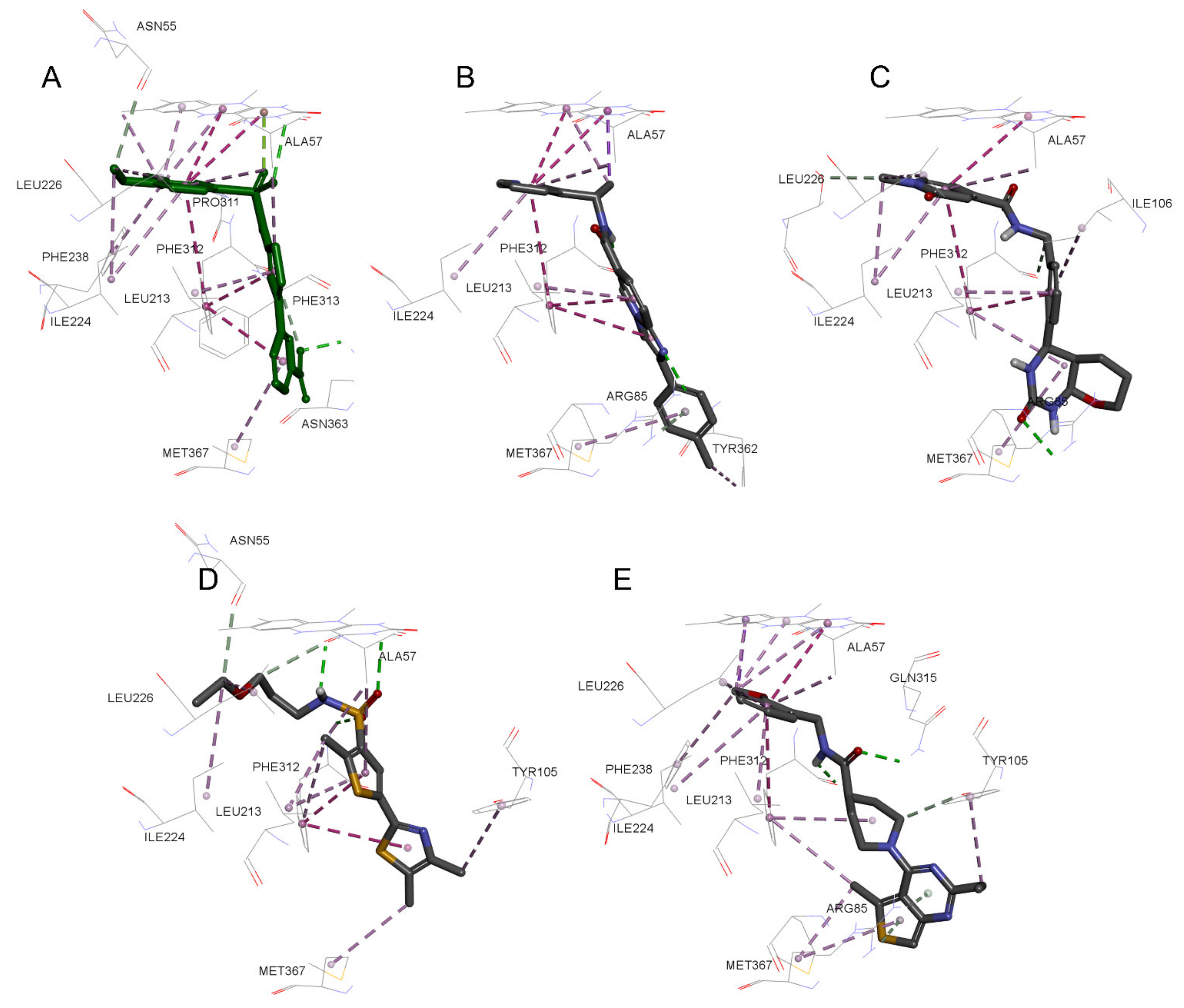 Molecules 26 03314 g007 Molecules 26 03314 g007