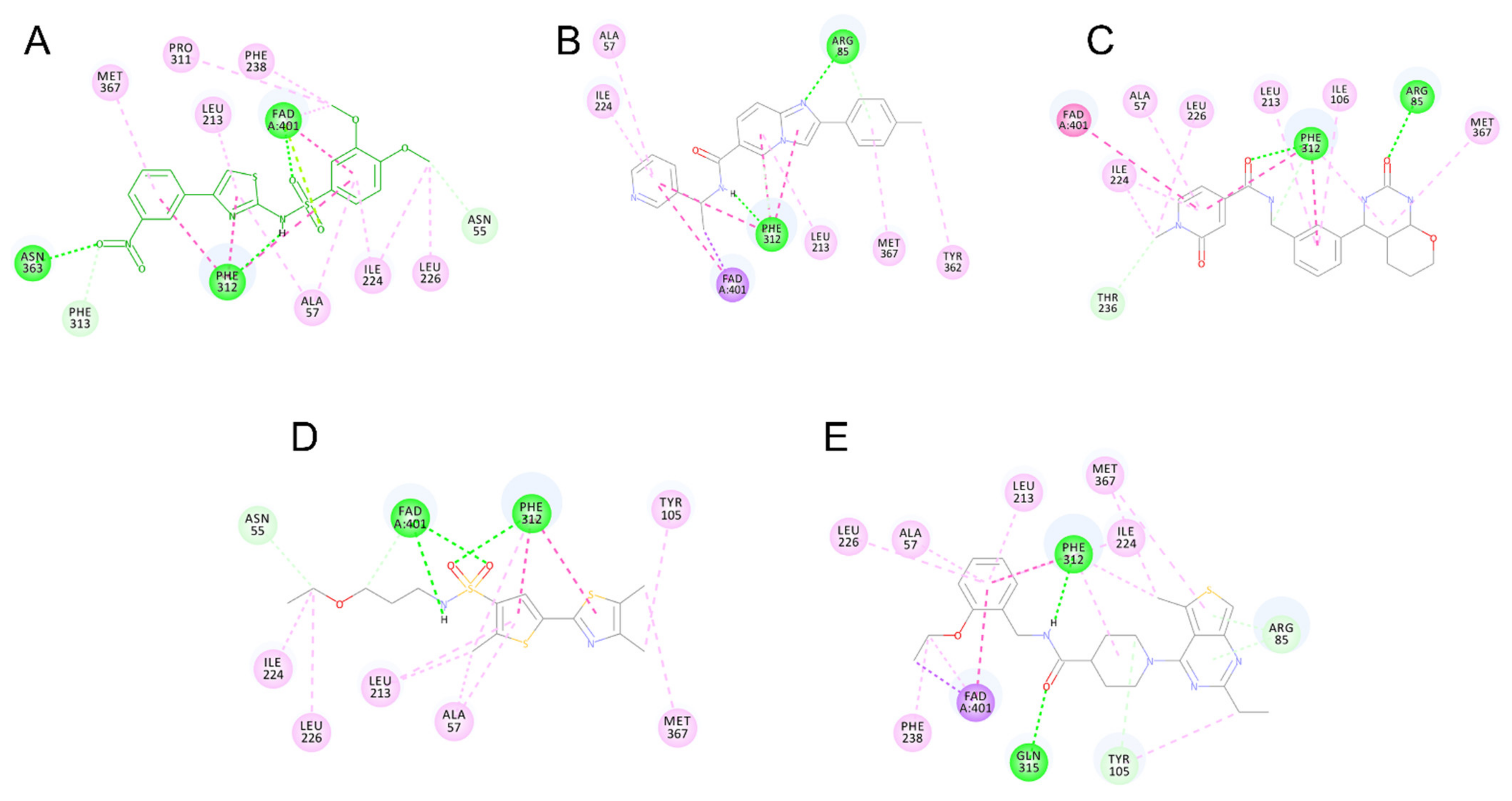 Molecules 26 03314 g008 Molecules 26 03314 g008