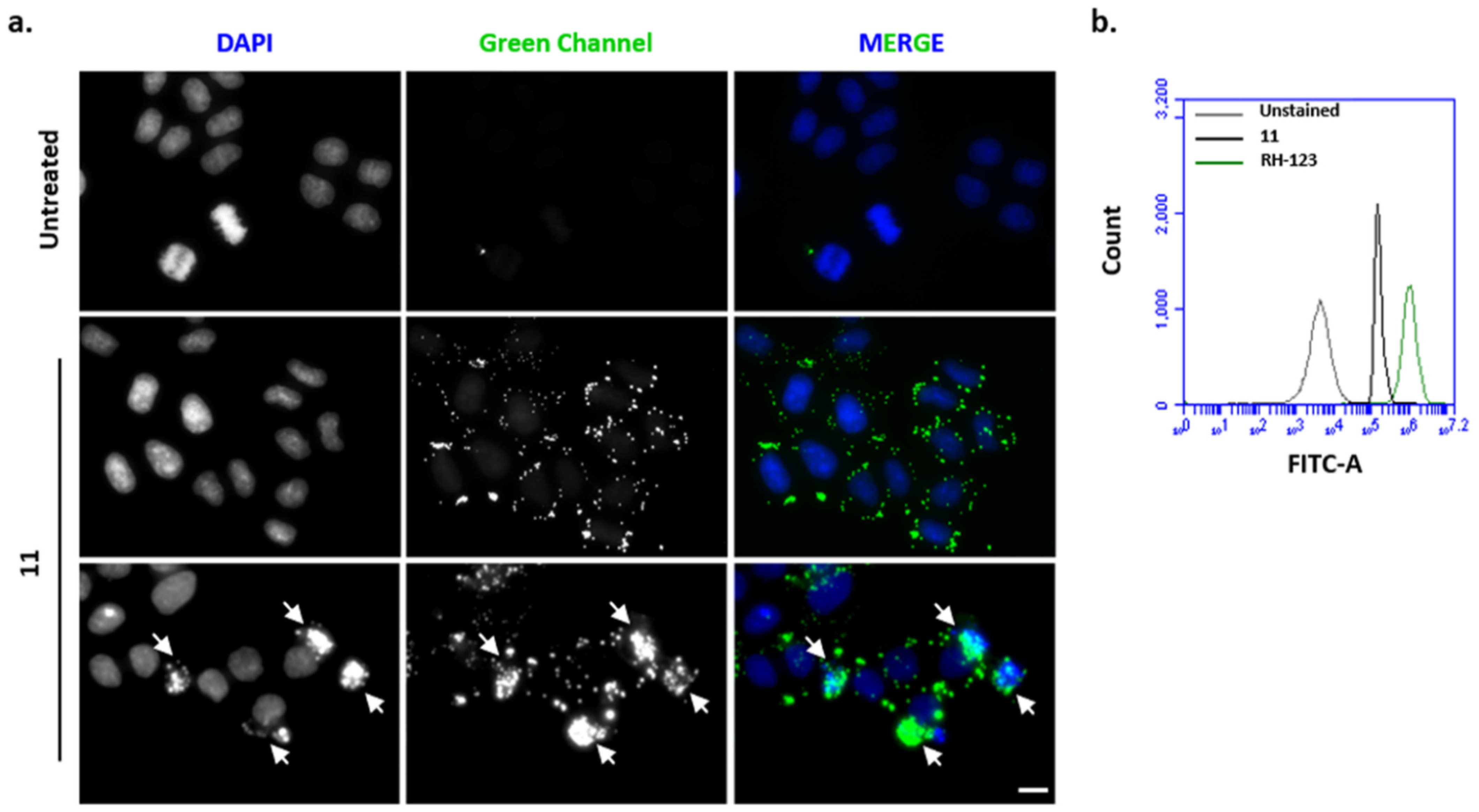Molecules 26 03315 g003 Molecules 26 03315 g003