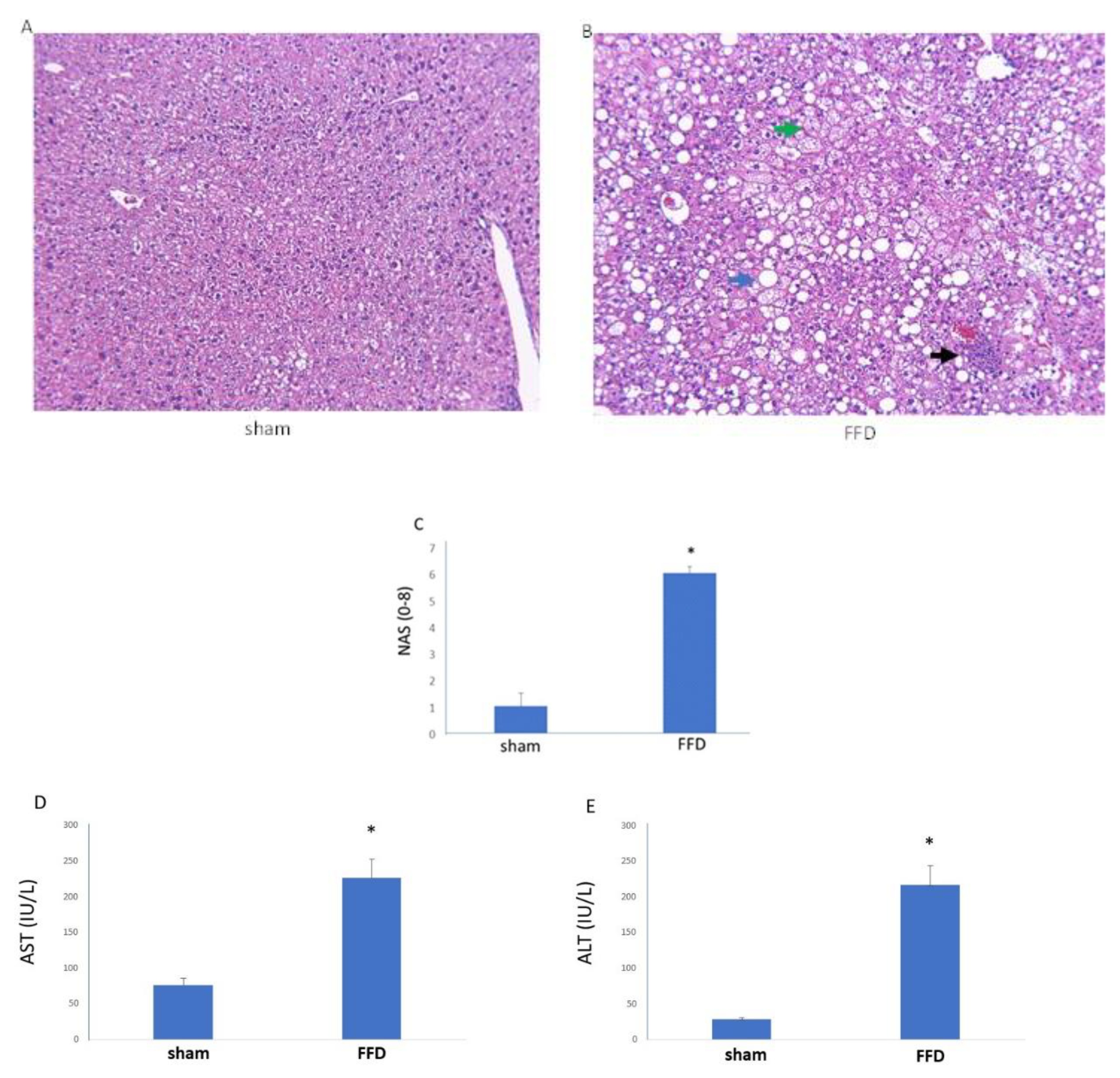 Molecules 26 03316 g001