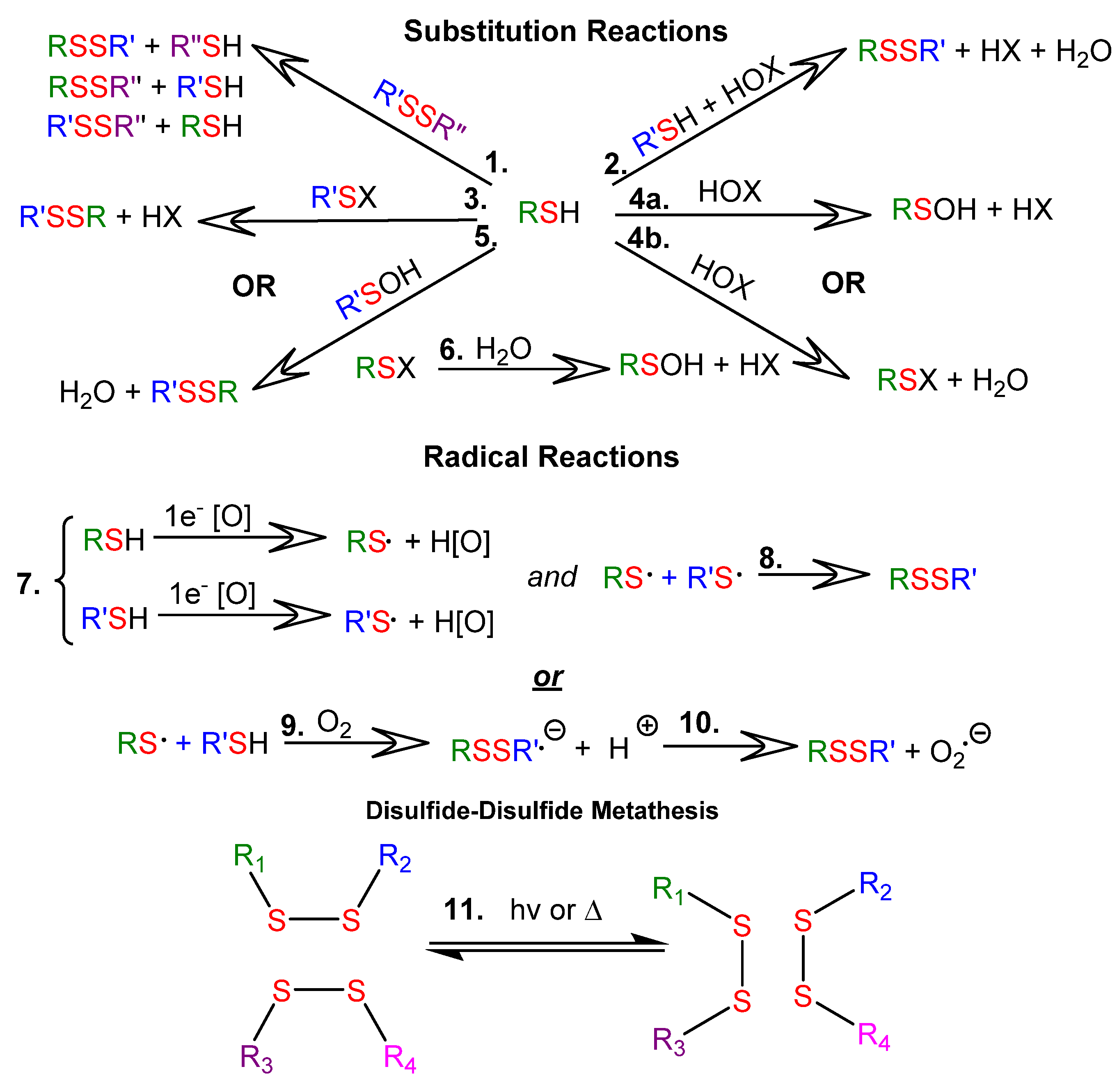 Molecules 26 03332 g001