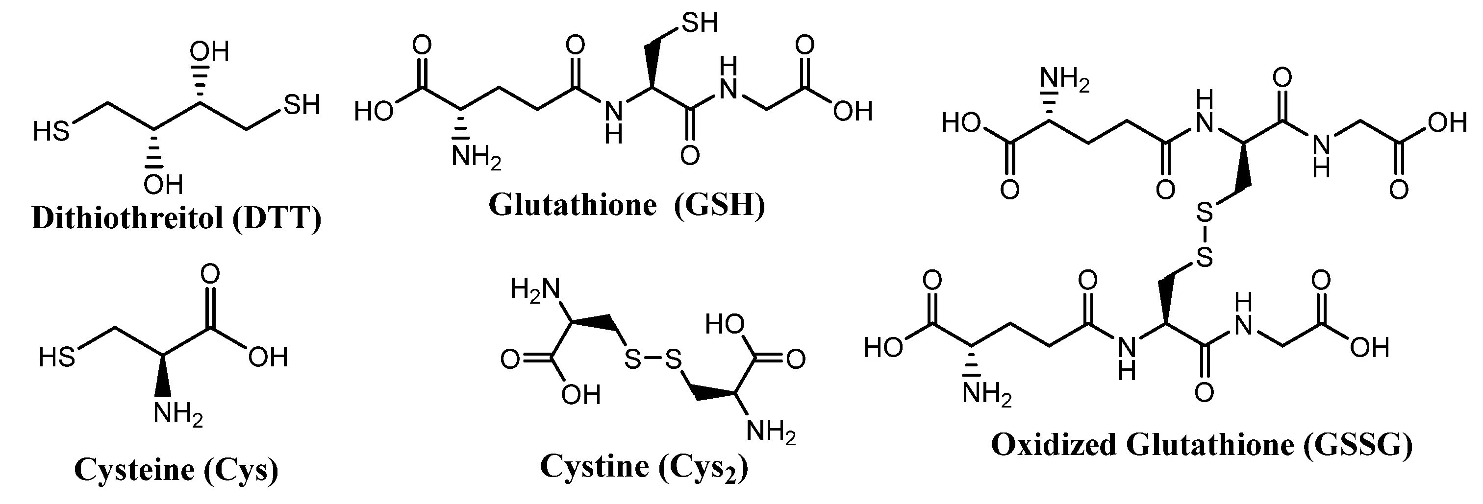 Molecules 26 03332 g002