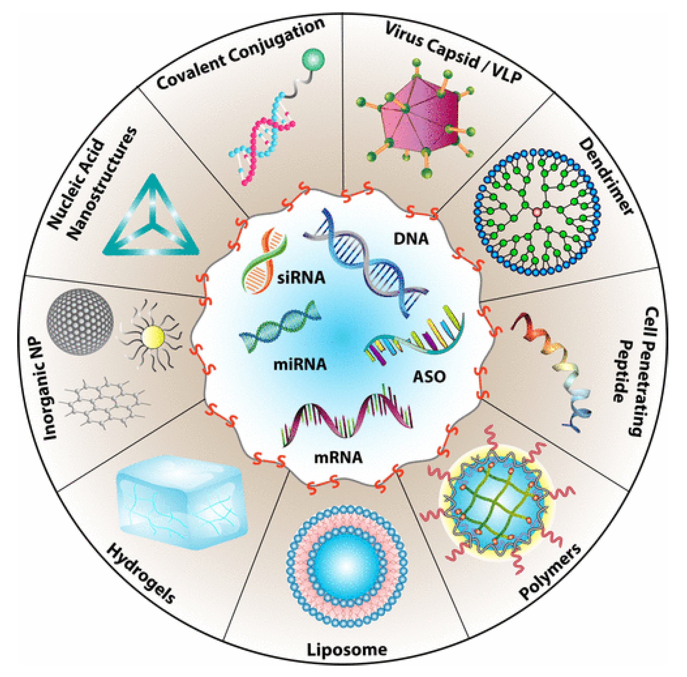 Molecules 26 03332 g003