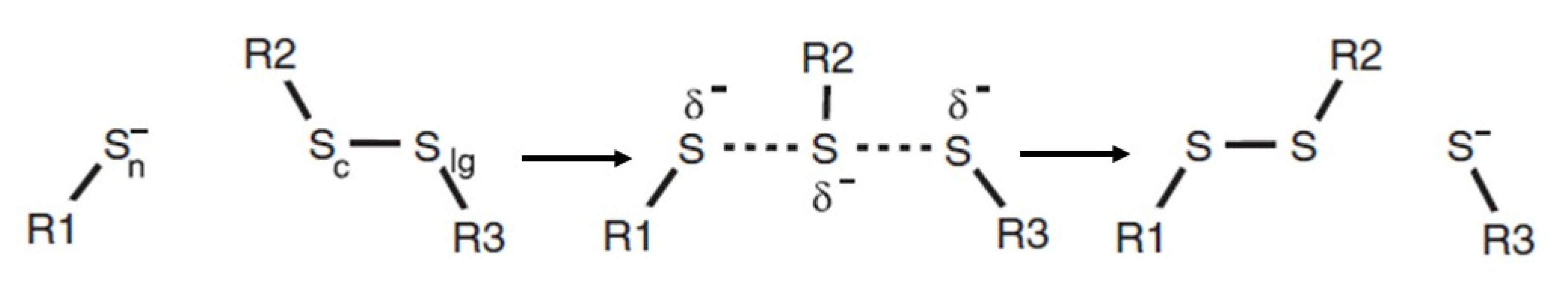 Molecules 26 03332 g005