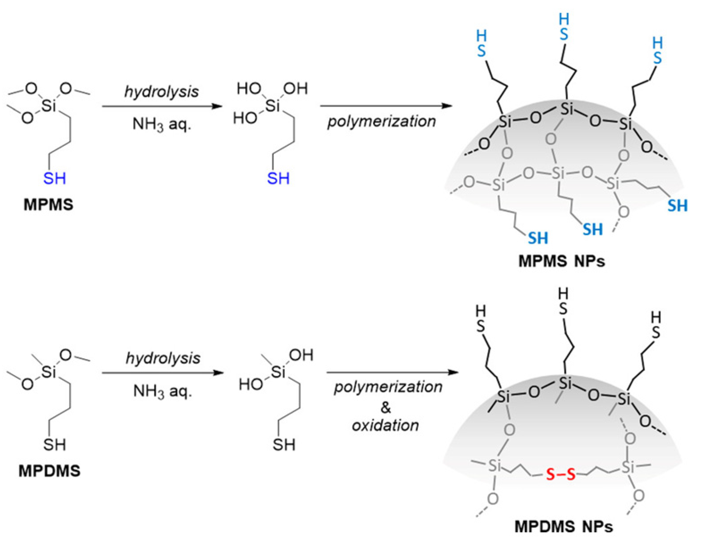 Molecules 26 03332 g012