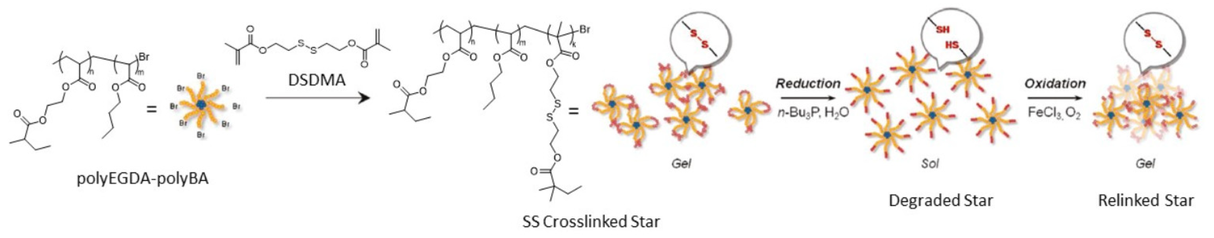 Molecules 26 03332 g013