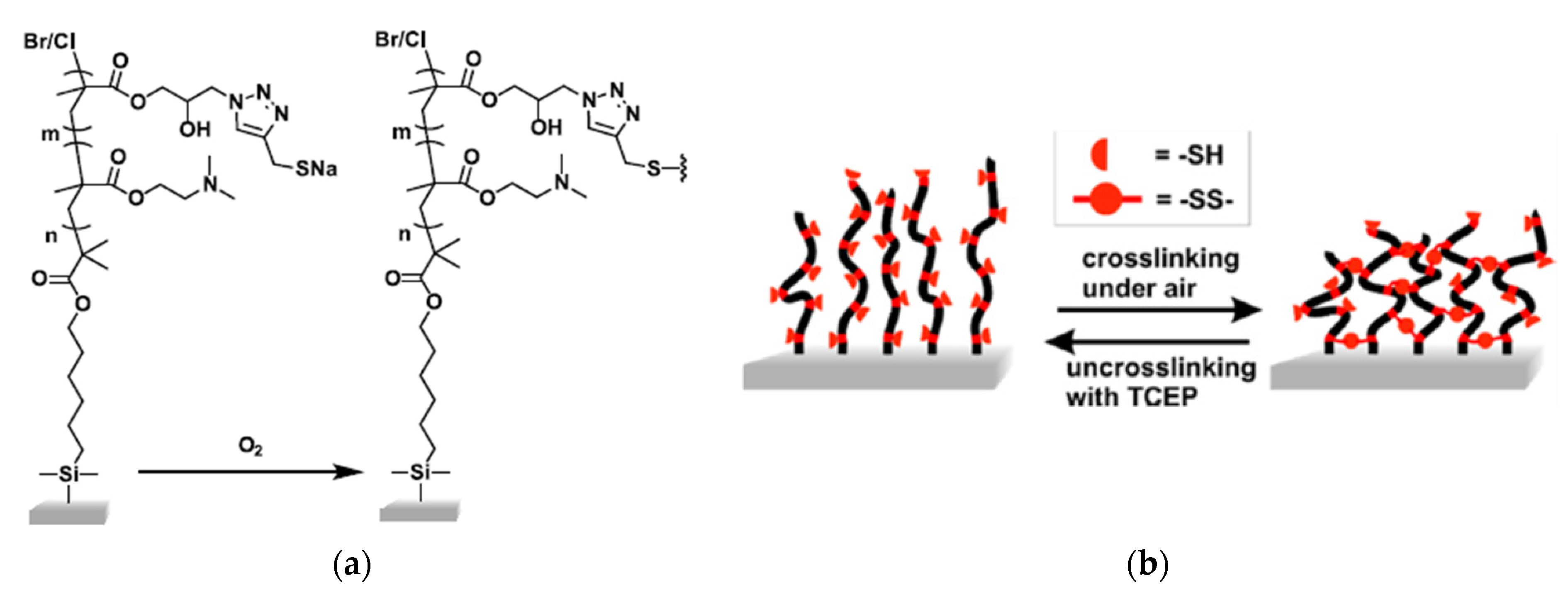 Molecules 26 03332 g017
