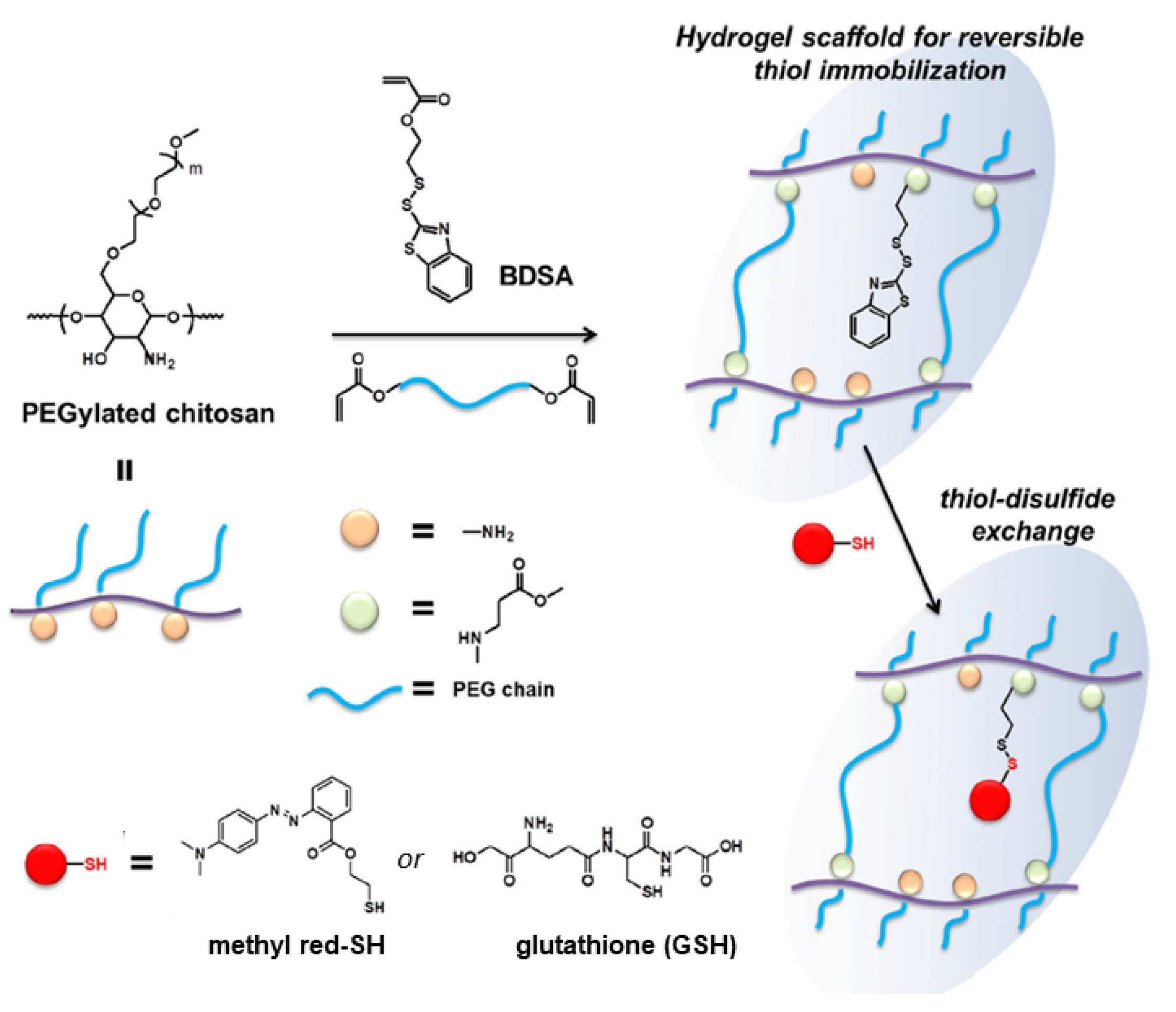 Molecules 26 03332 g019