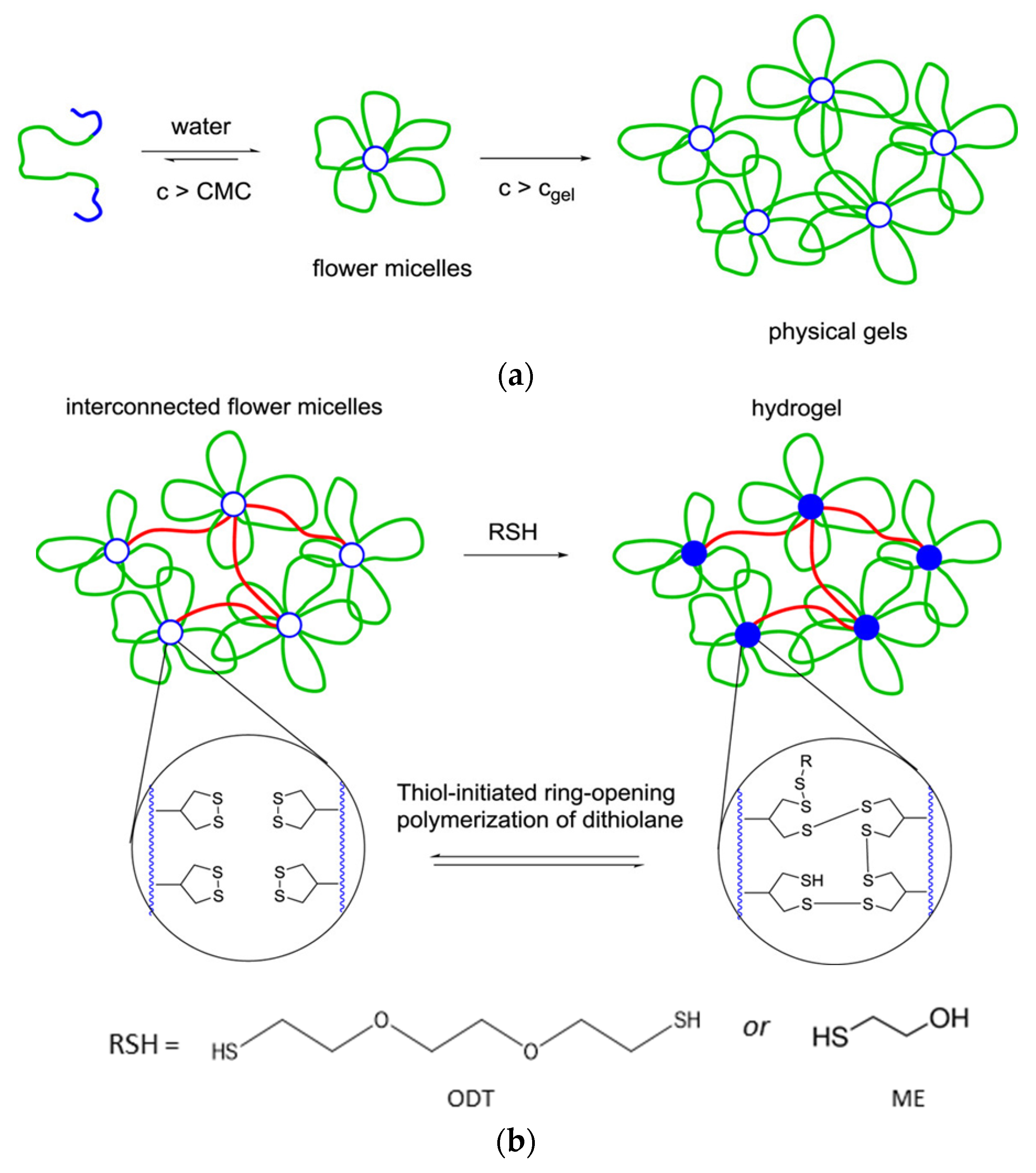 Molecules 26 03332 g029