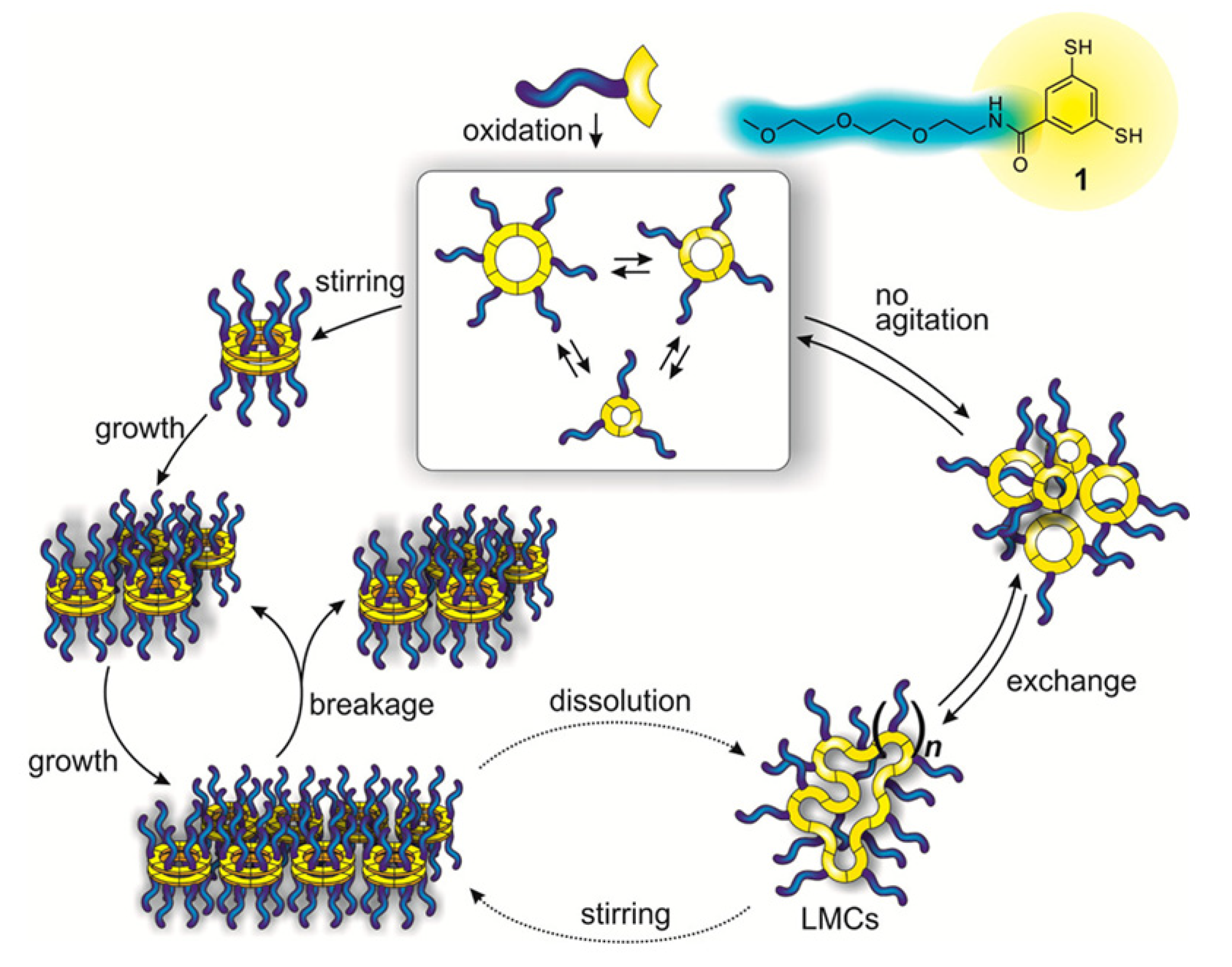 Molecules 26 03332 g031
