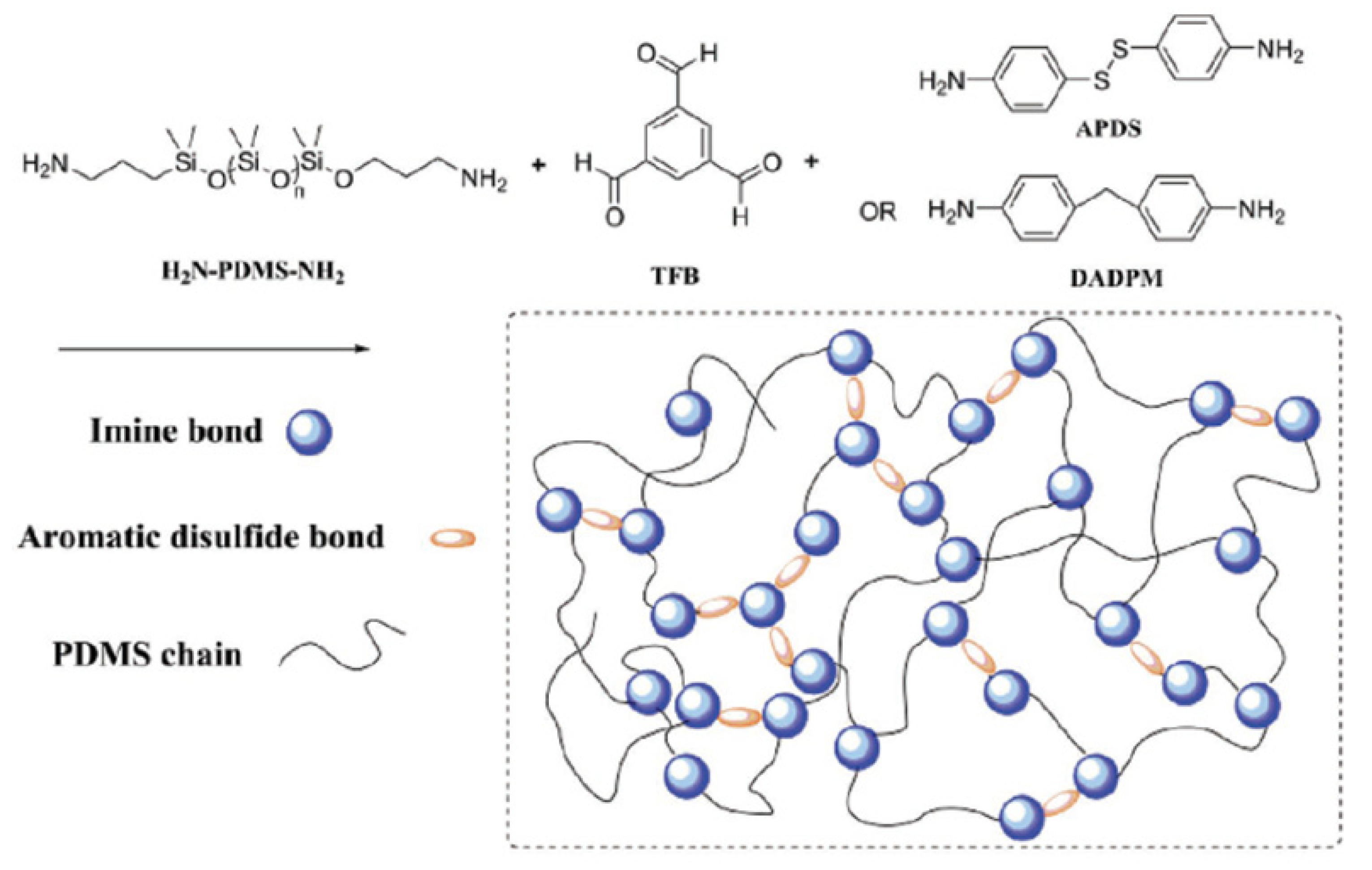 Molecules 26 03332 g033
