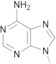 Molecules 26 03334 i006 Molecules 26 03334 i006
