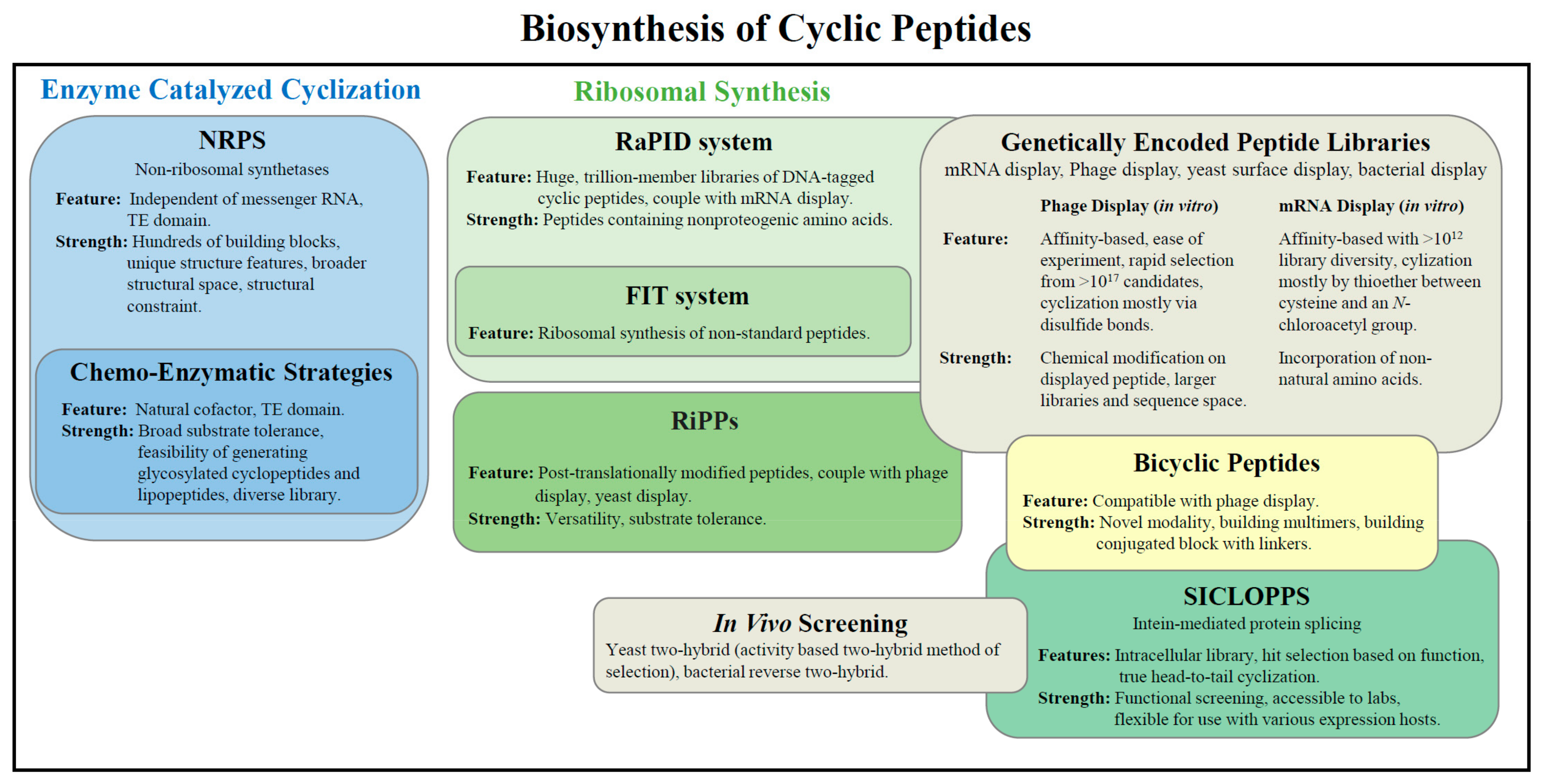 Molecules 26 03338 g001 Molecules 26 03338 g001