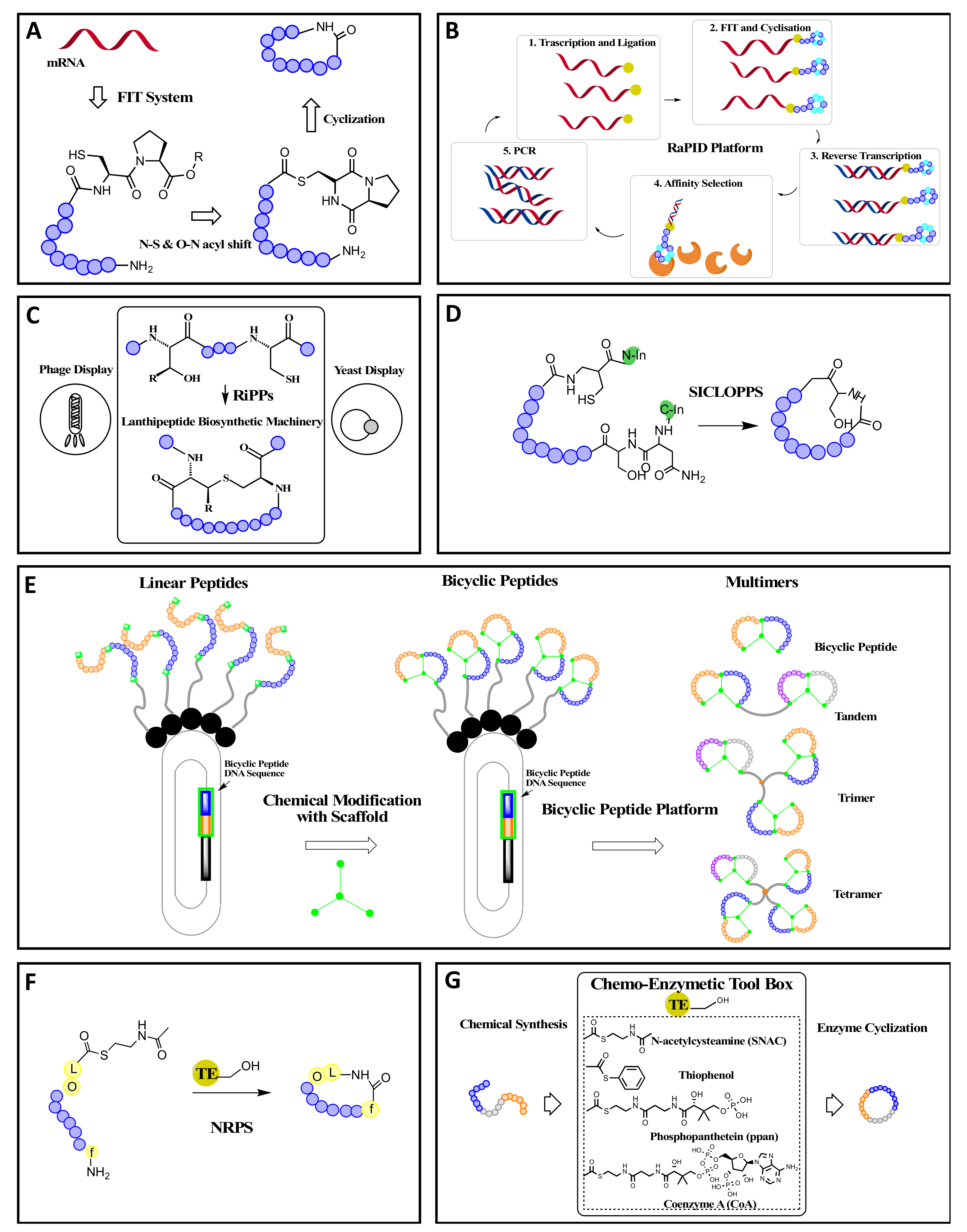 Molecules 26 03338 g002 Molecules 26 03338 g002