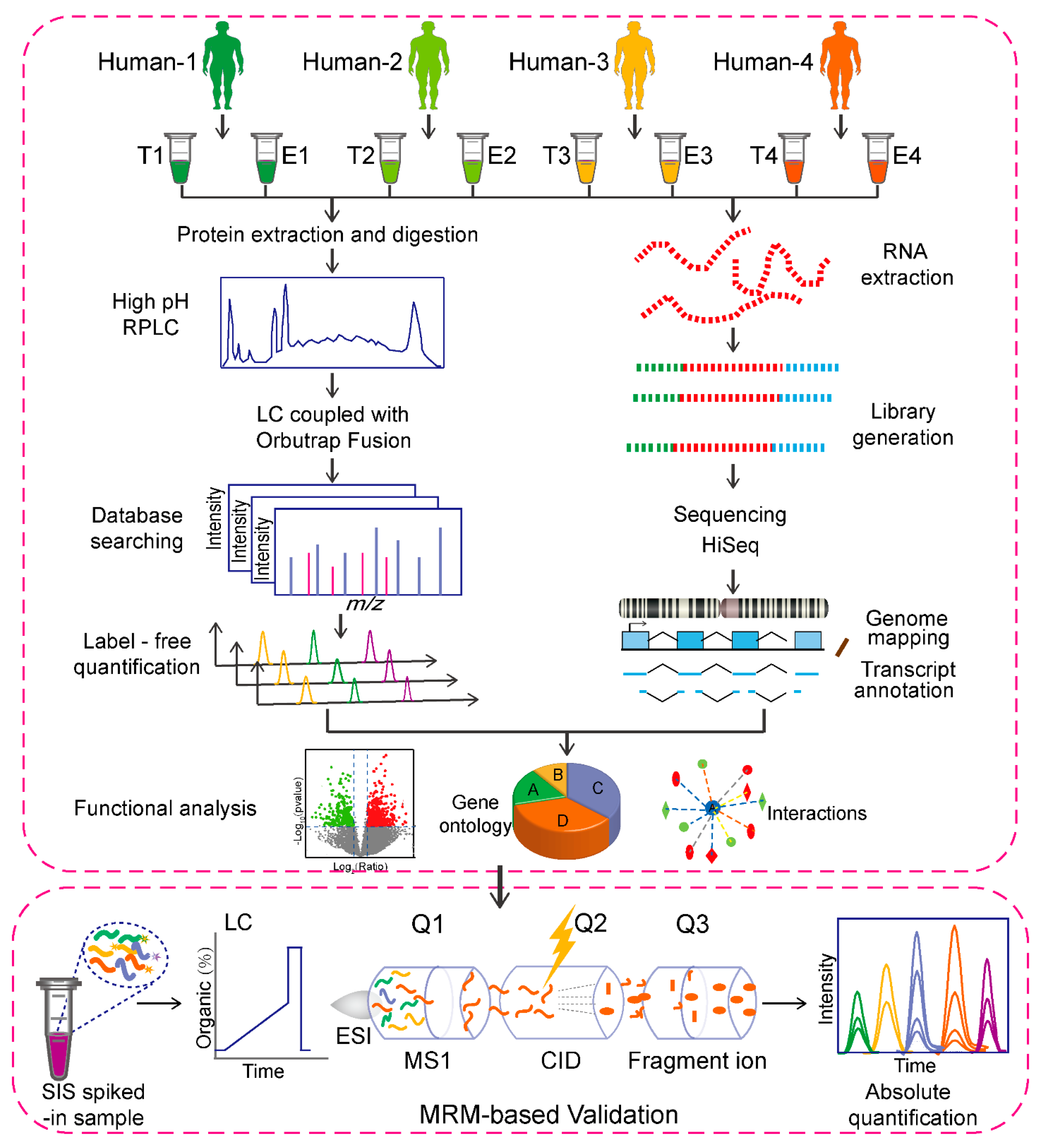 Molecules 26 03345 g001