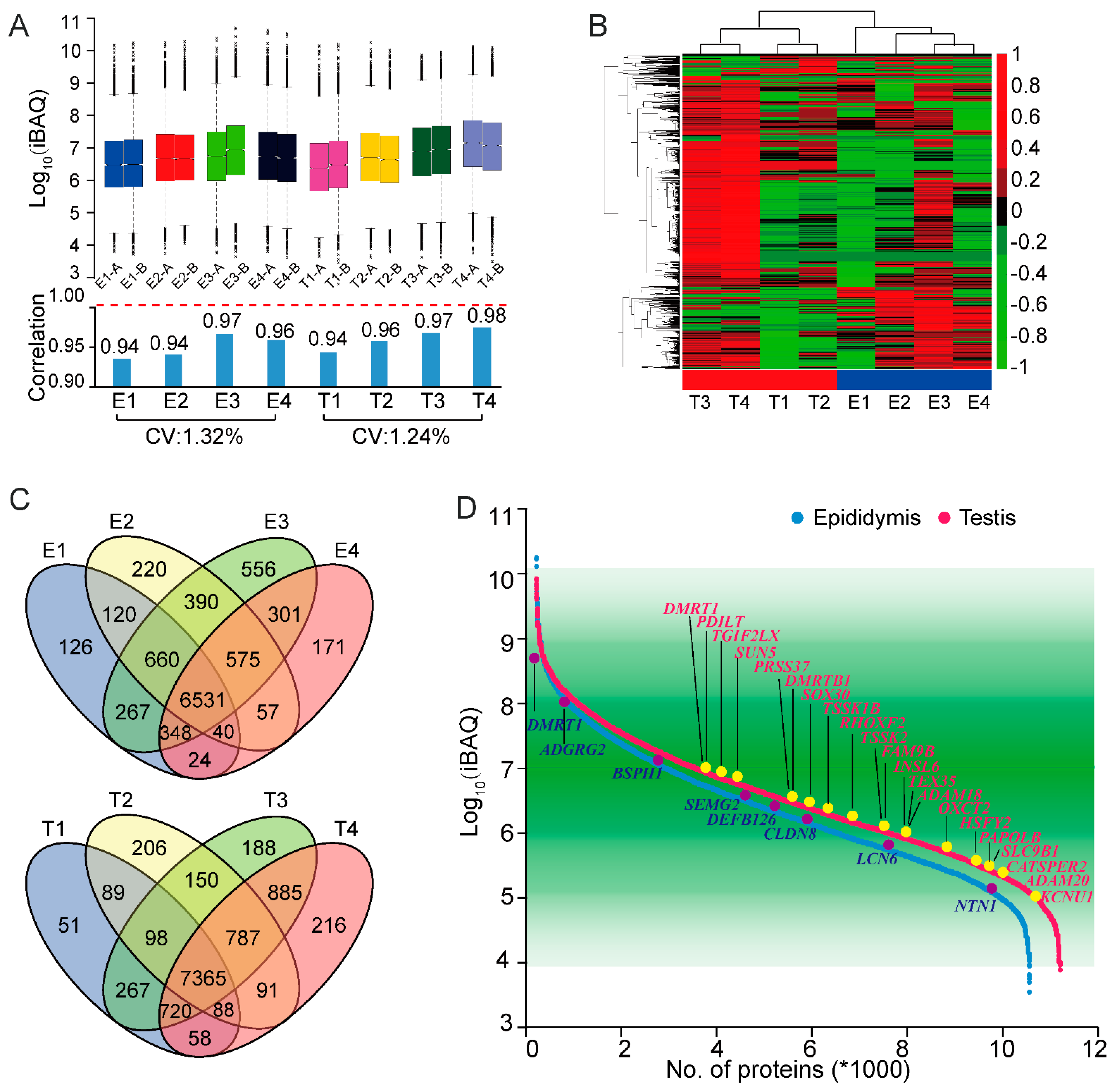 Molecules 26 03345 g002