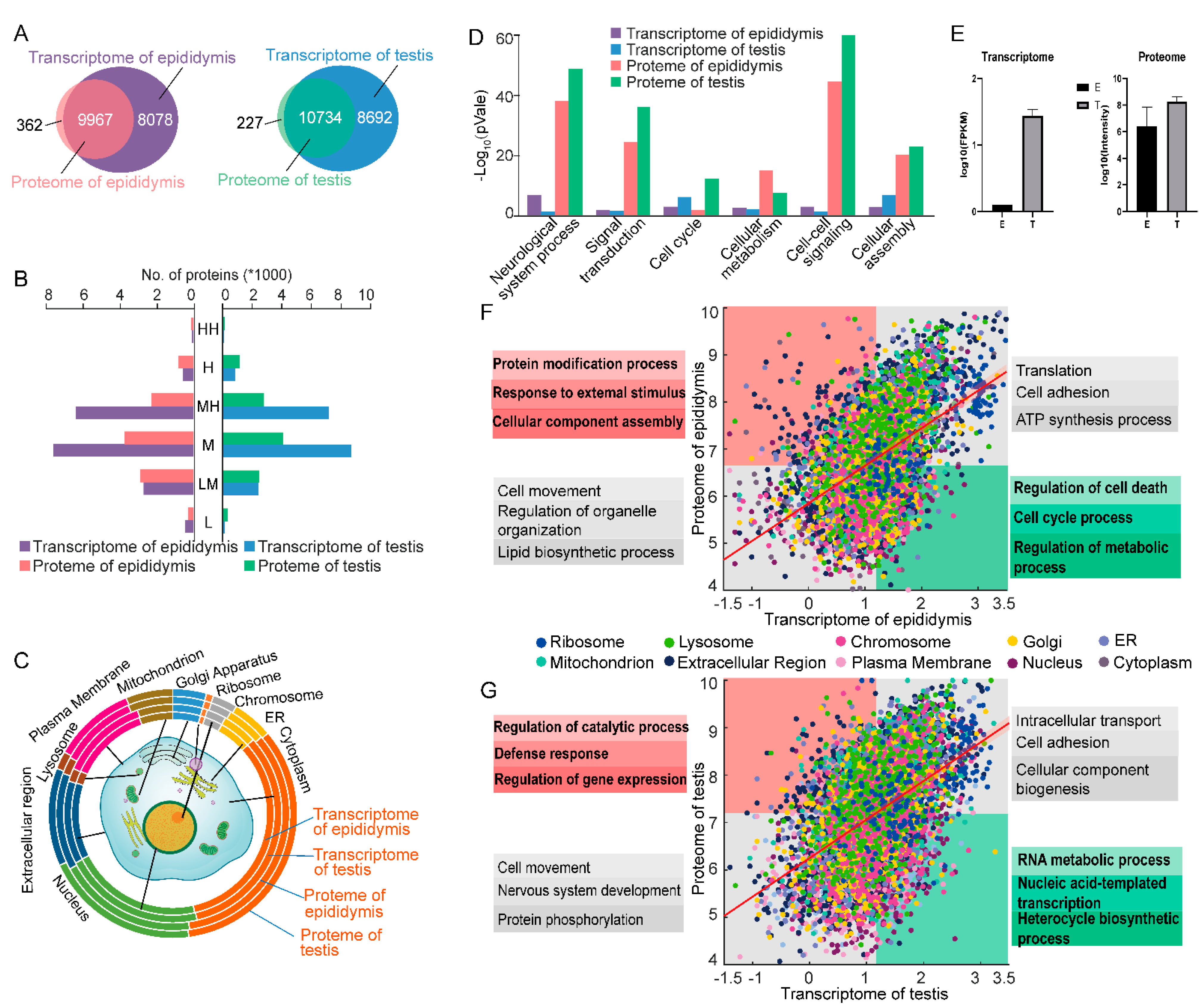 Molecules 26 03345 g004