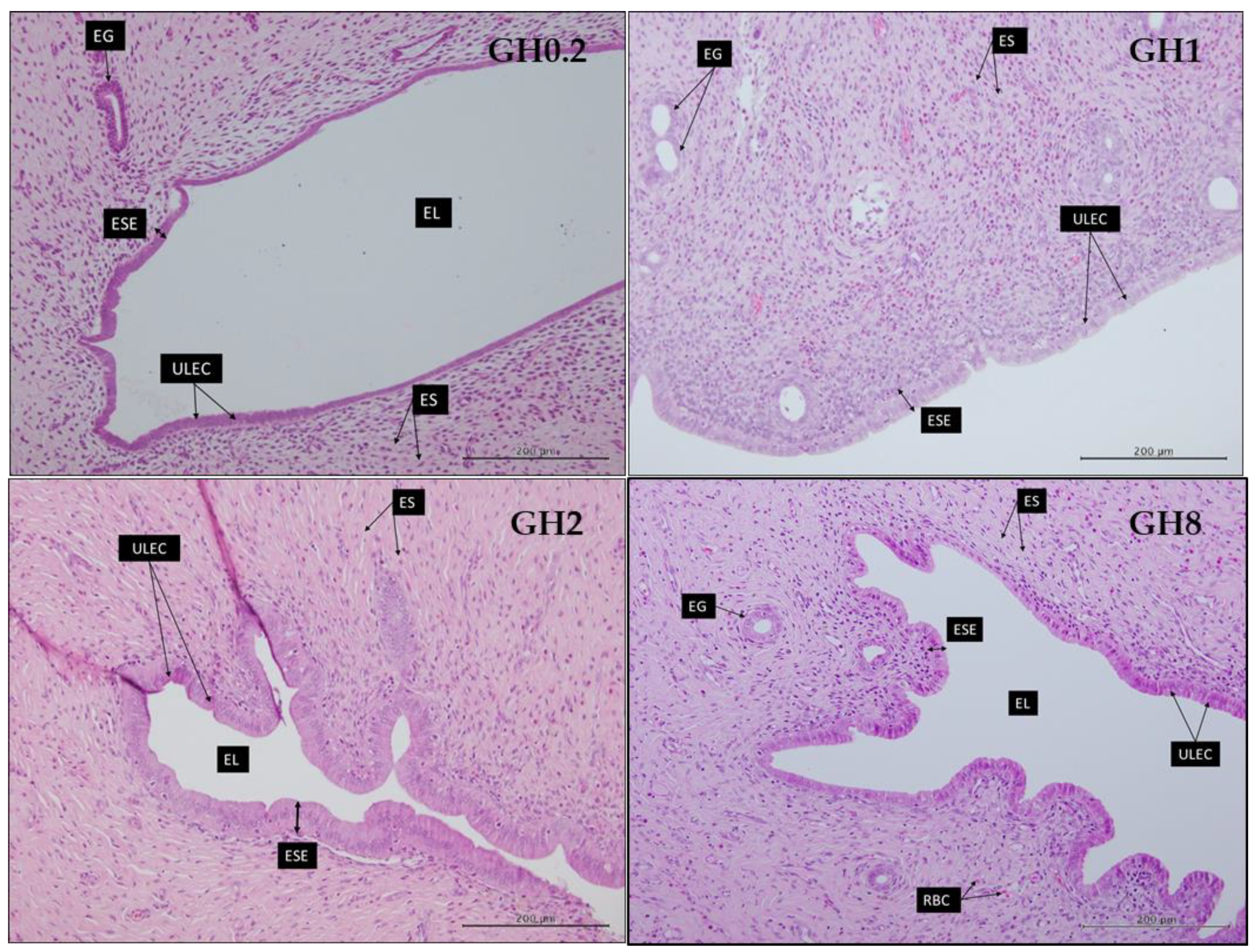 Molecules 26 03346 g008 Molecules 26 03346 g008