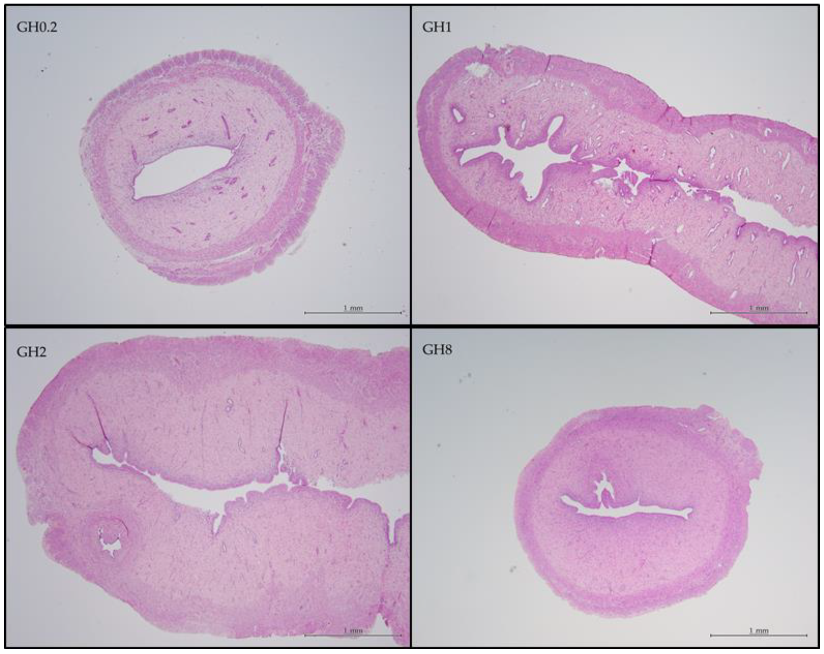Molecules 26 03346 g009 Molecules 26 03346 g009