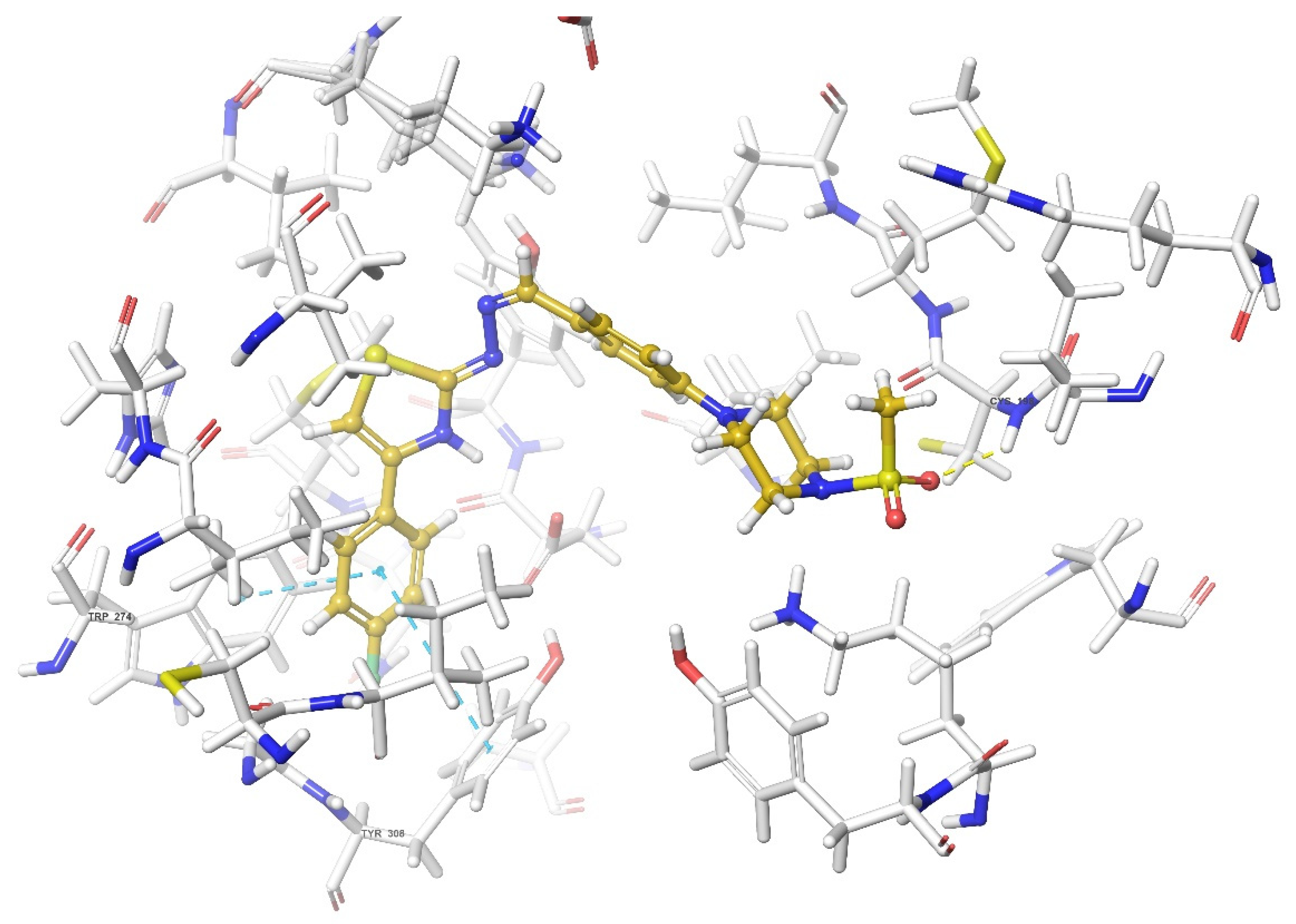 Molecules 26 03350 g017