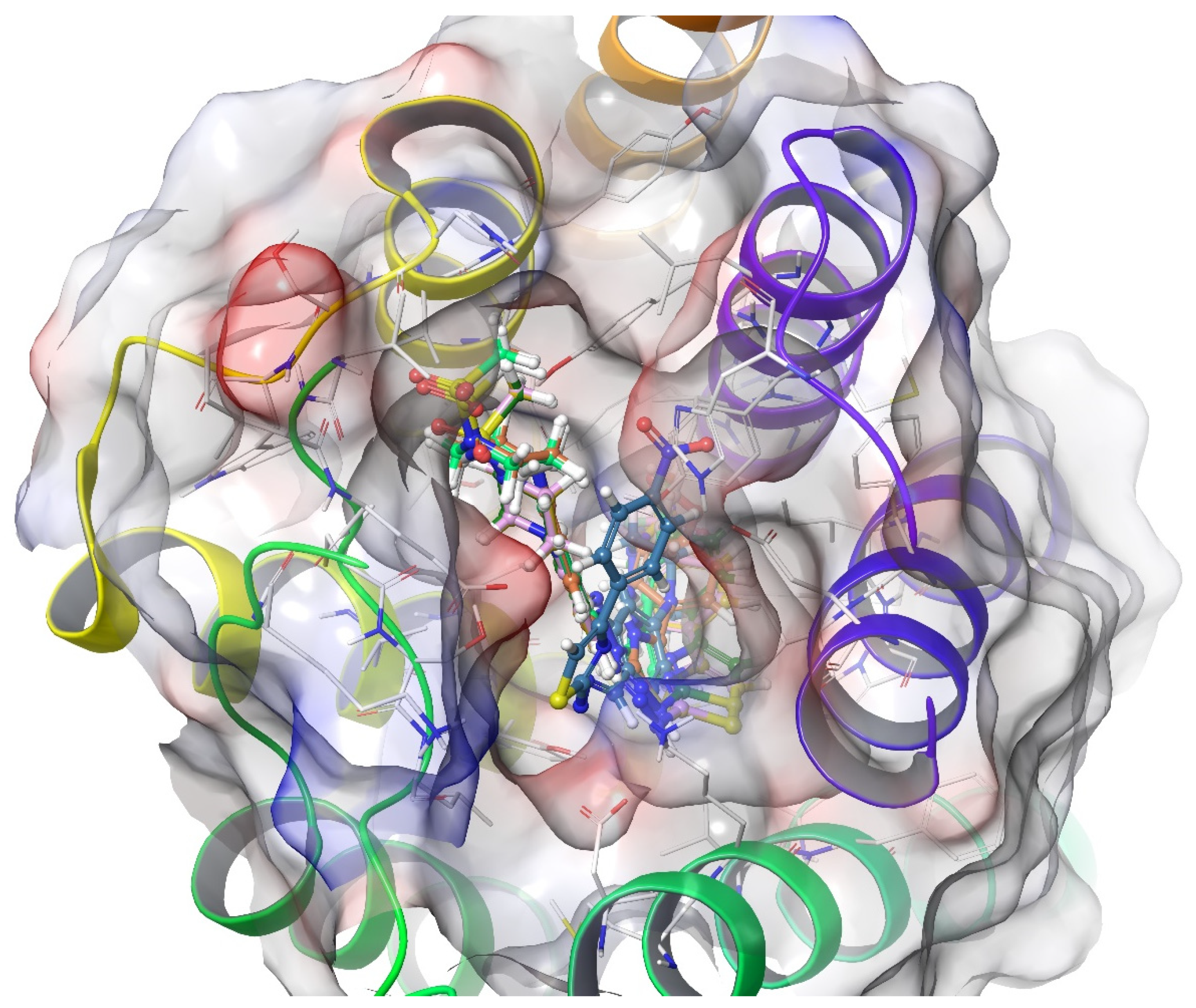 Molecules 26 03350 g020