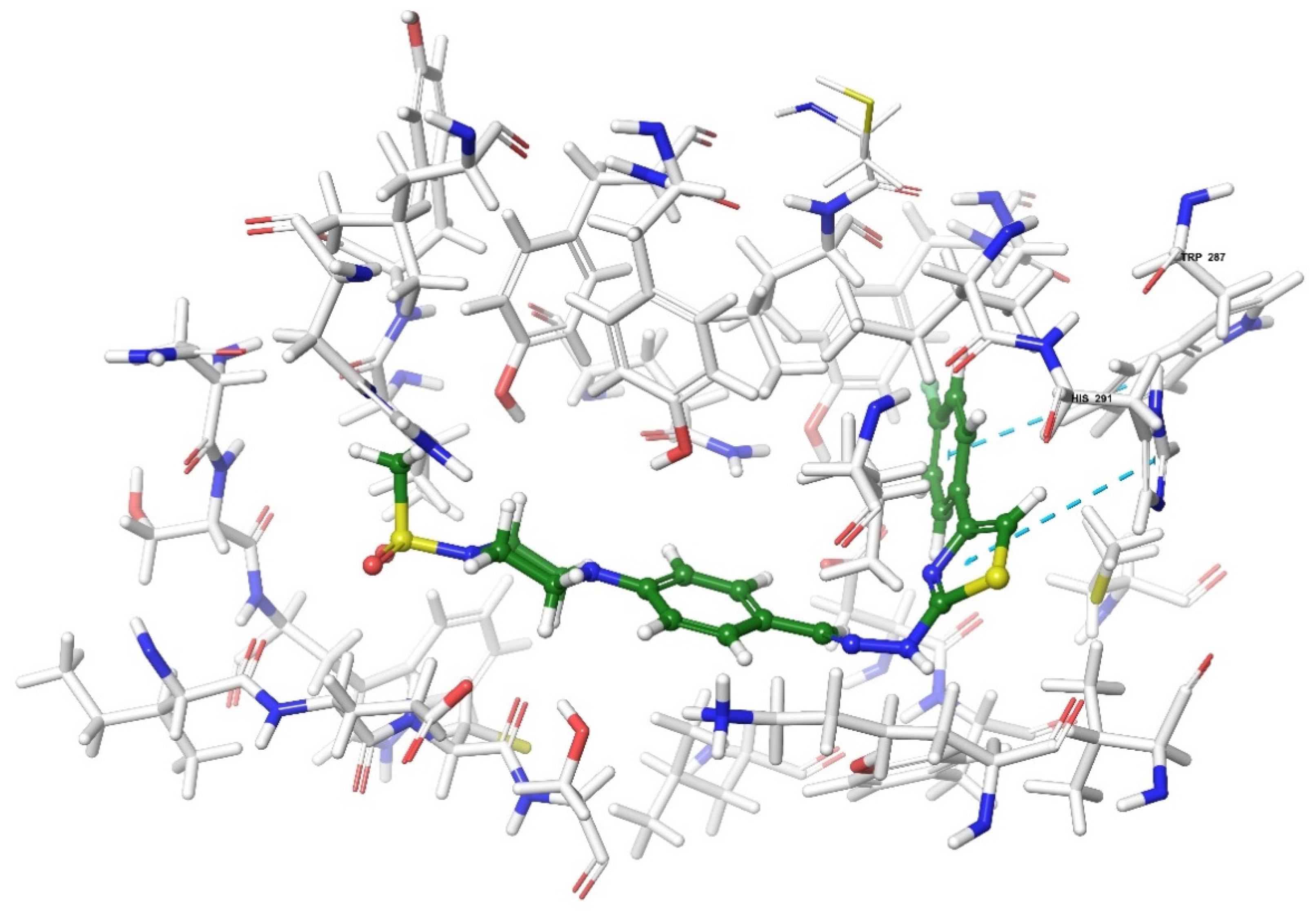 Molecules 26 03350 g022