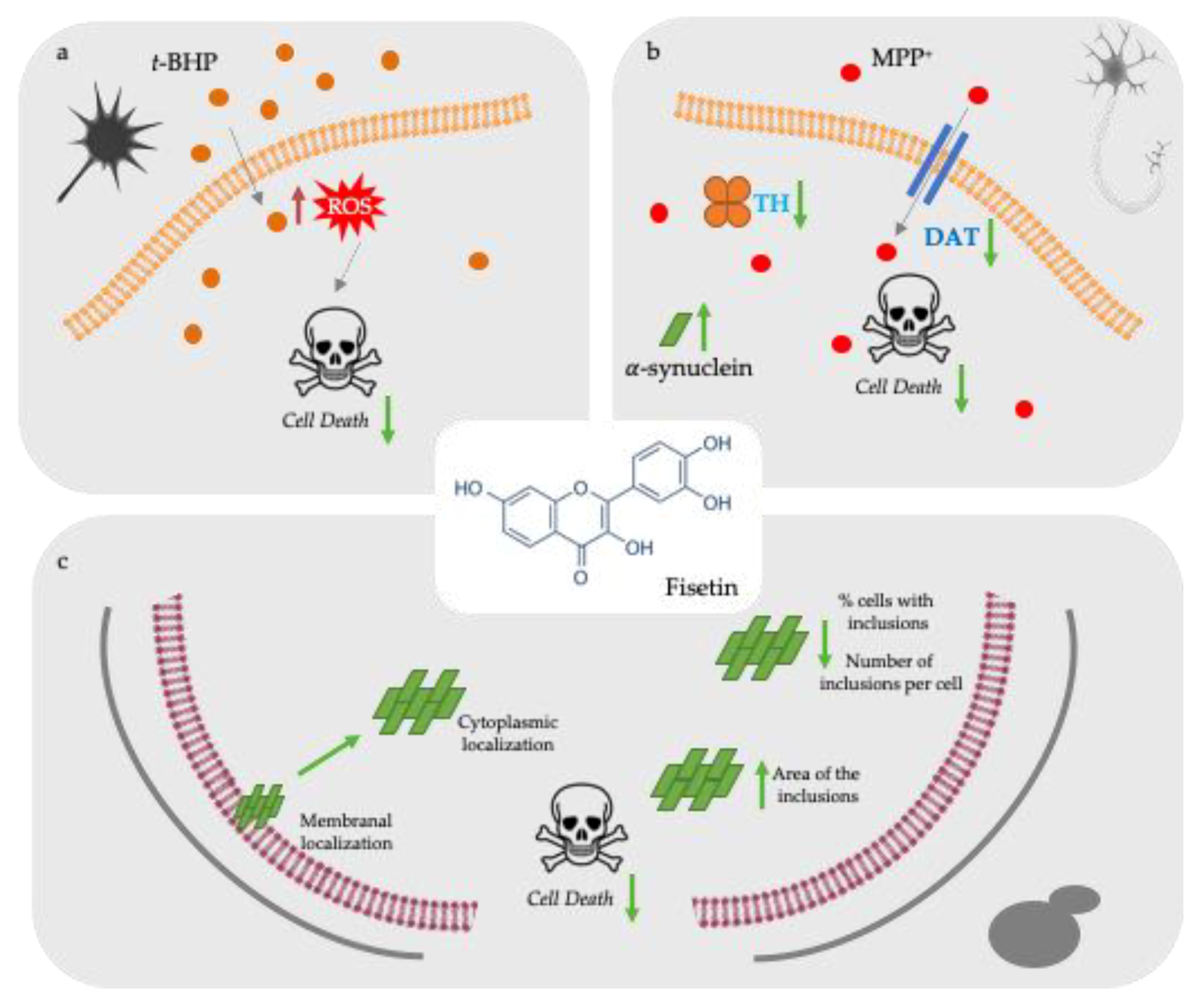 Molecules 26 03353 g004
