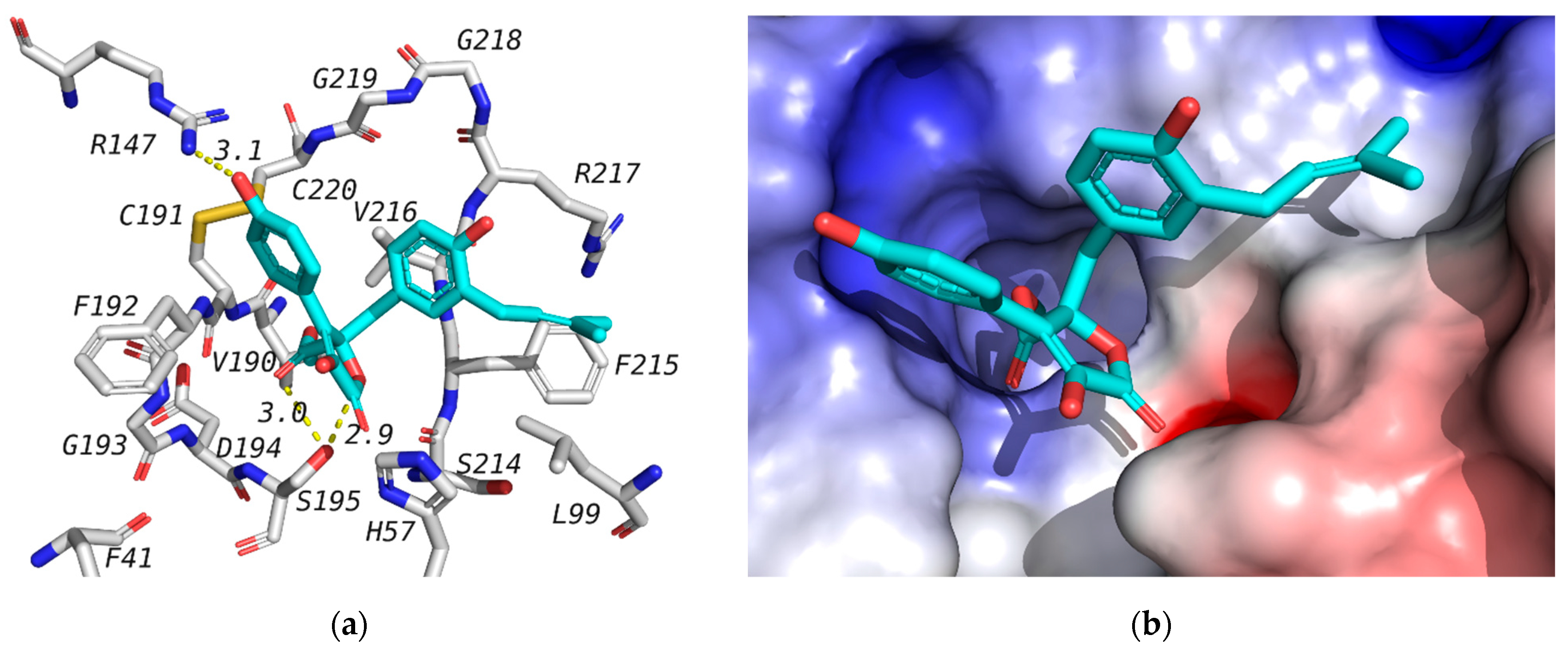 Molecules 26 03354 g003