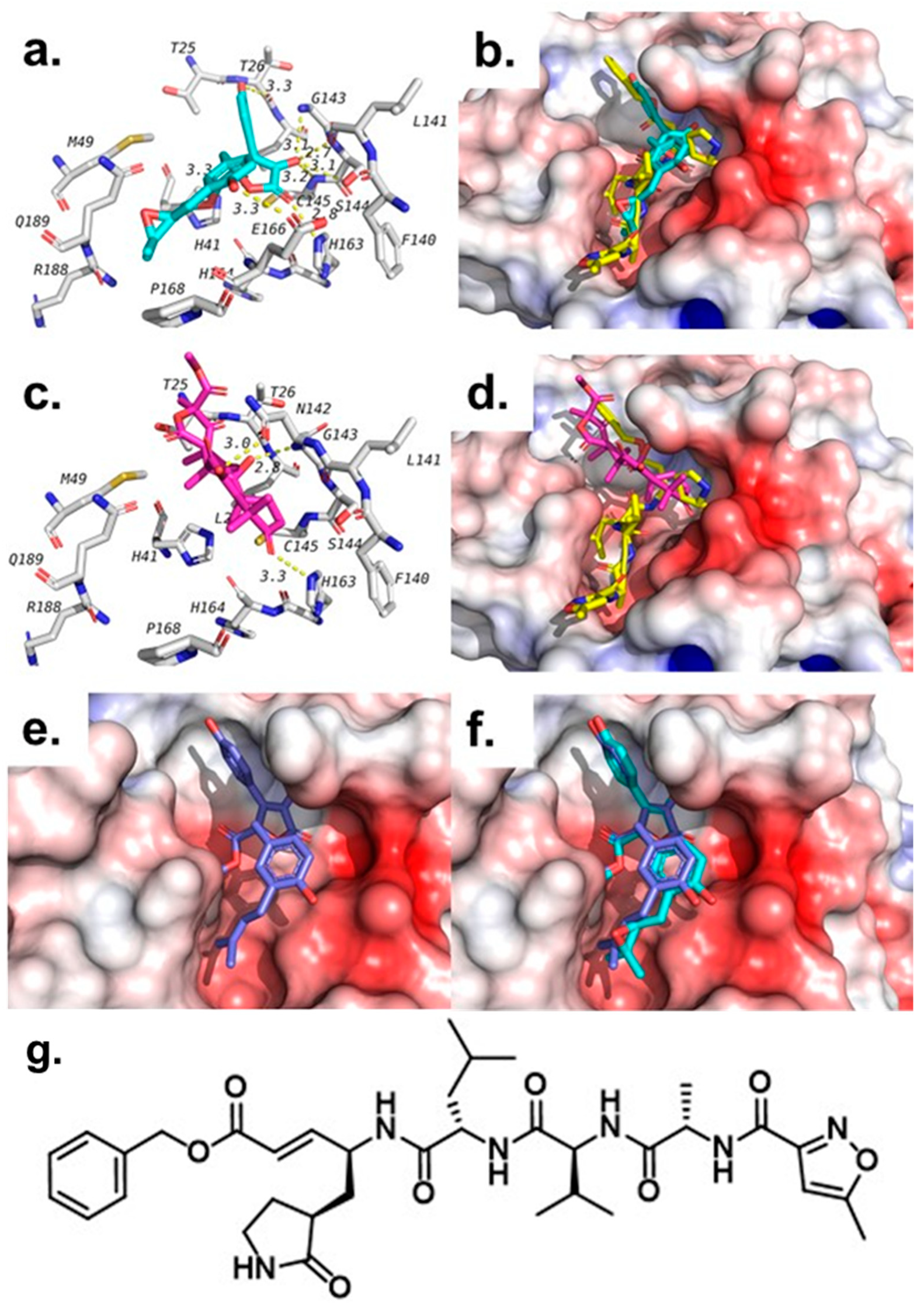 Molecules 26 03354 g004