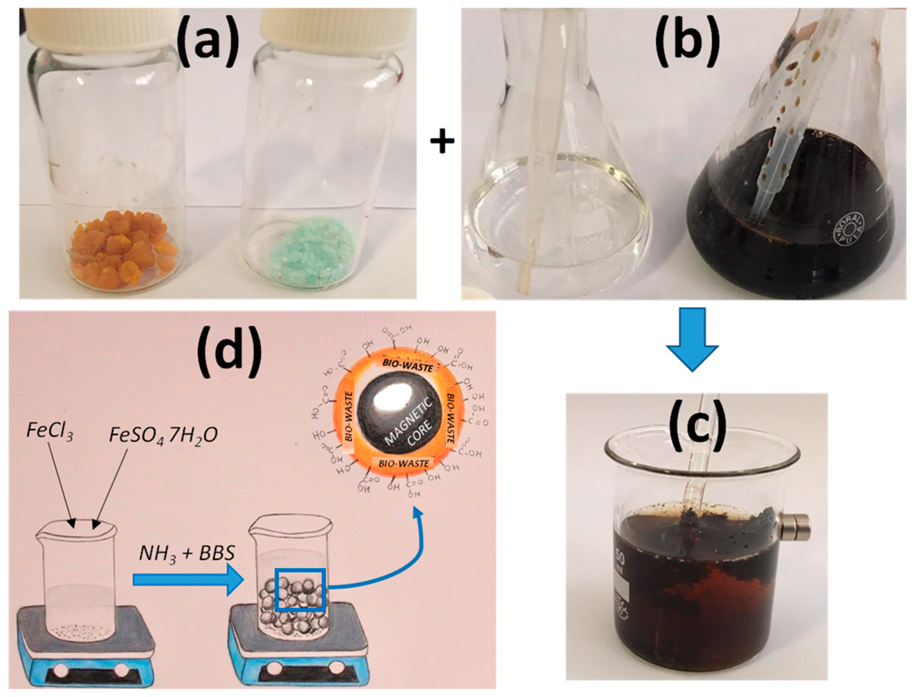 Molecules 26 03361 g001