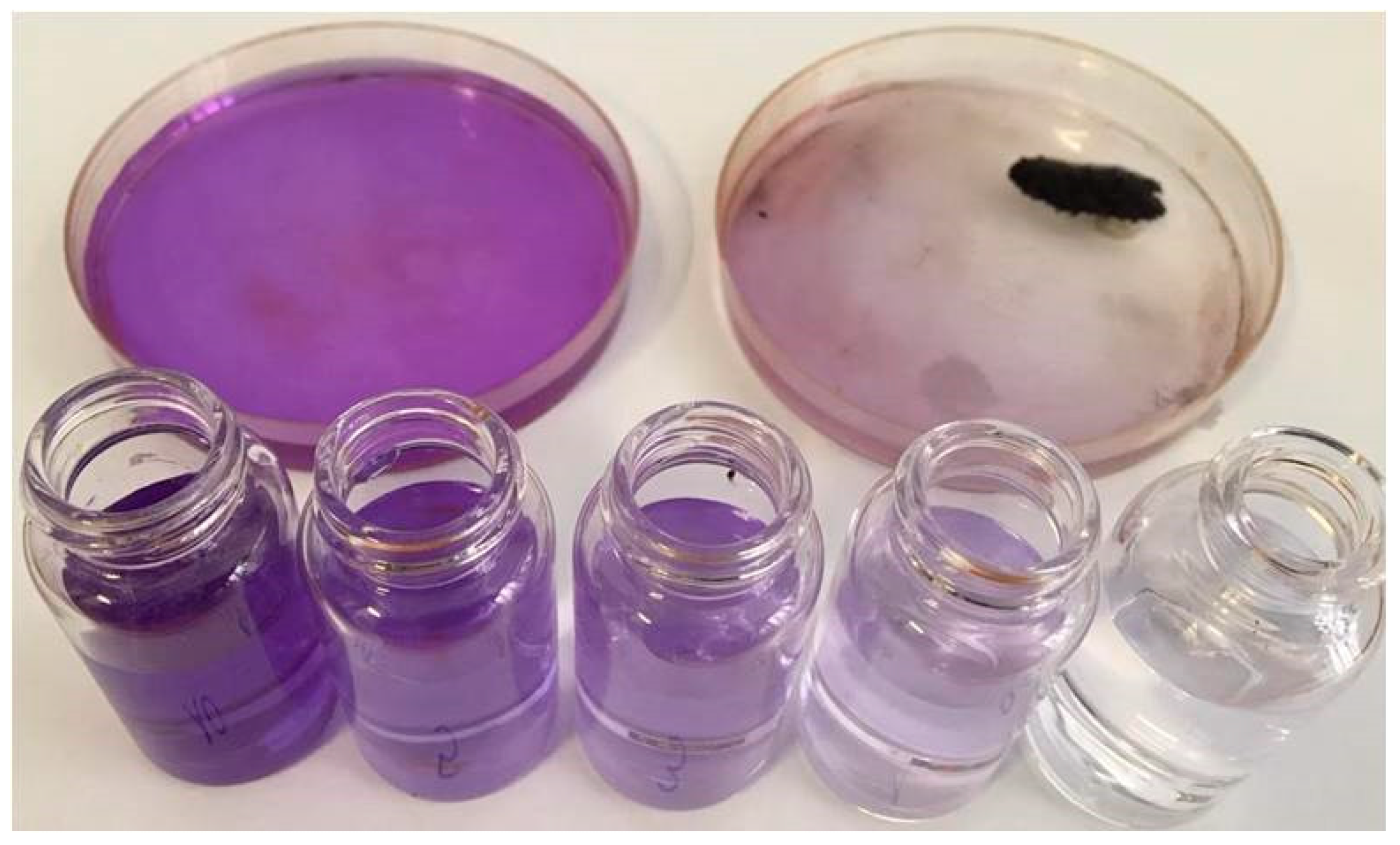 Molecules 26 03361 g002