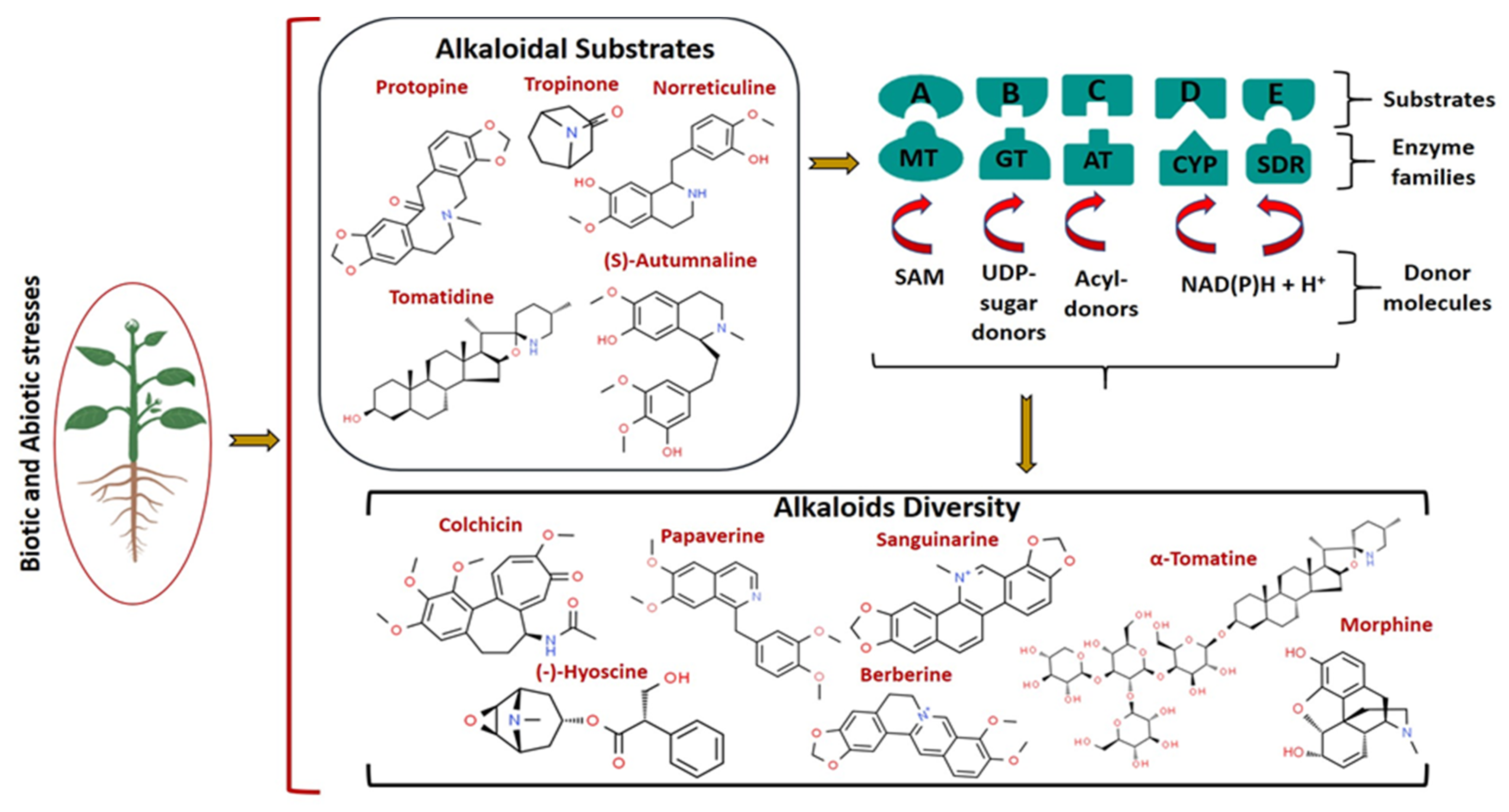 Molecules 26 03374 g002