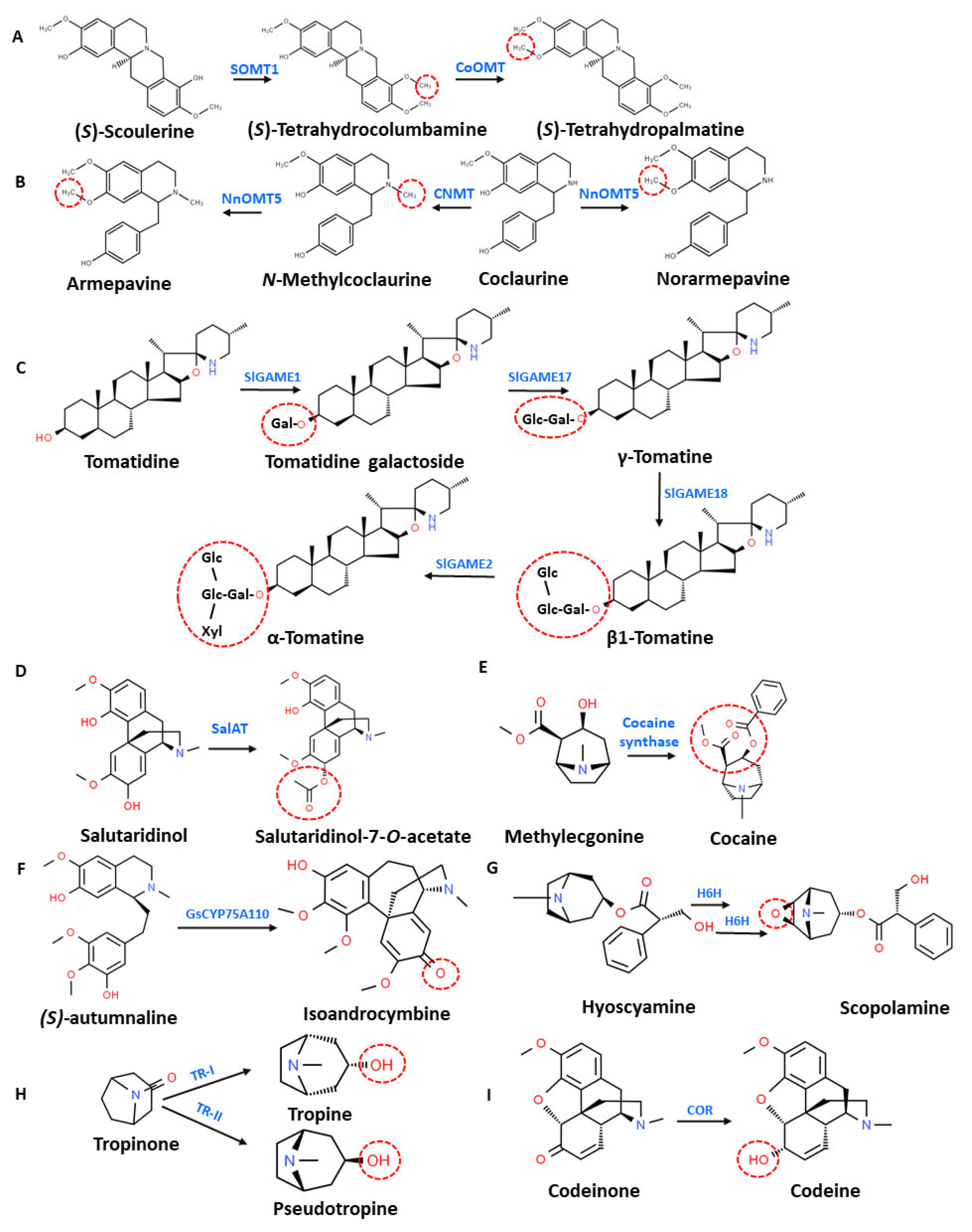 Molecules 26 03374 g003