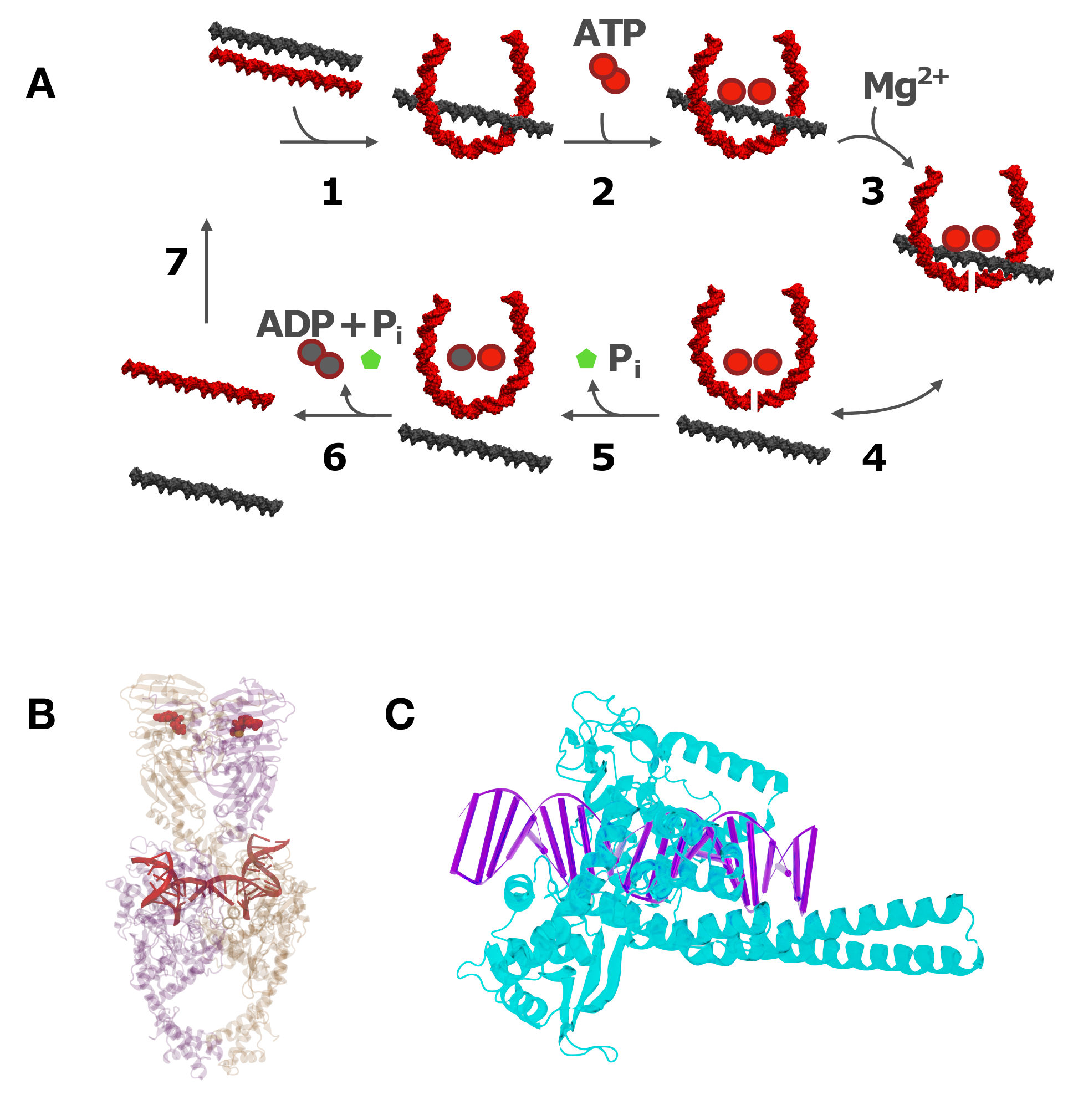 Molecules 26 03375 g004 Molecules 26 03375 g004