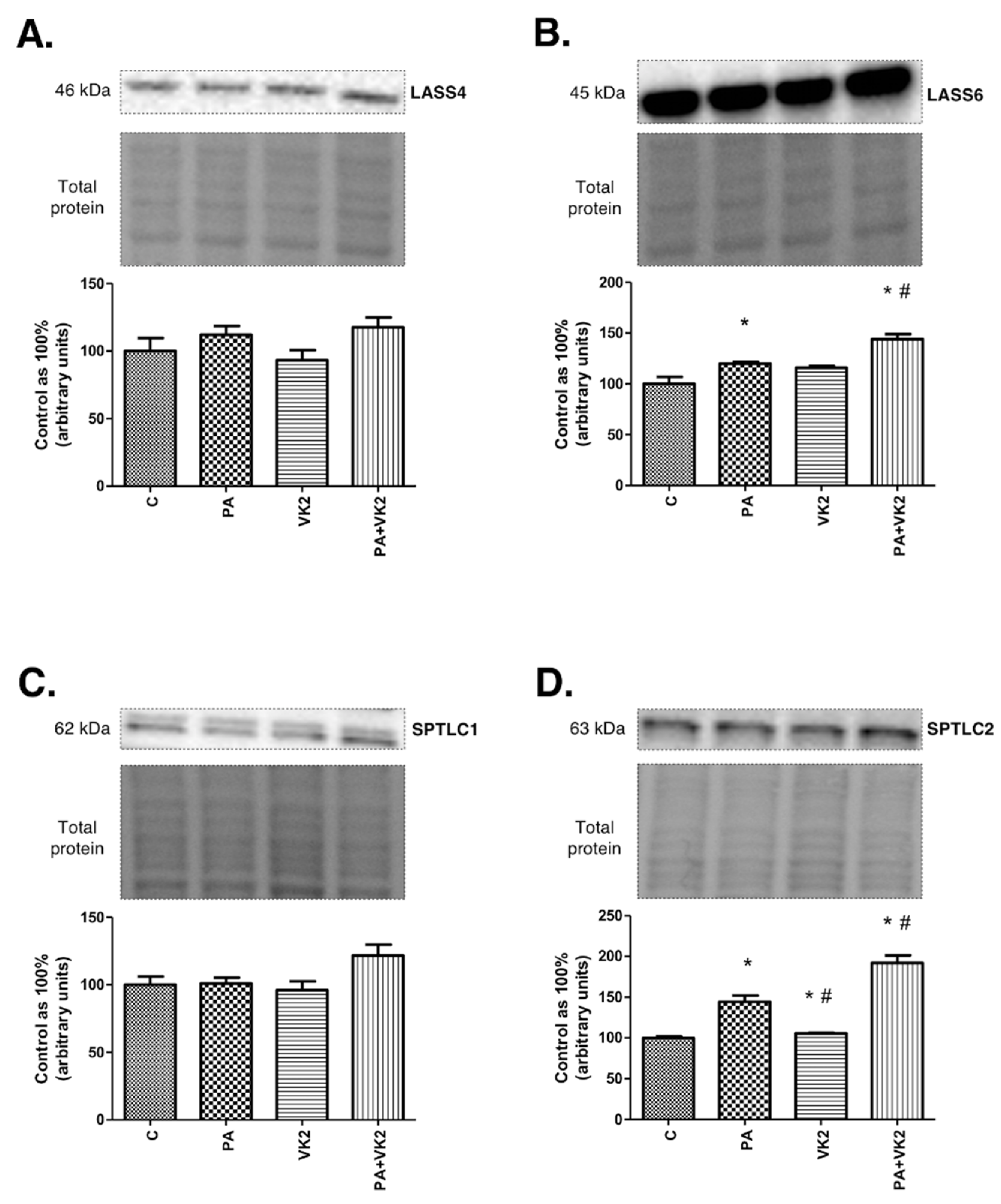 Molecules 26 03377 g002 Molecules 26 03377 g002