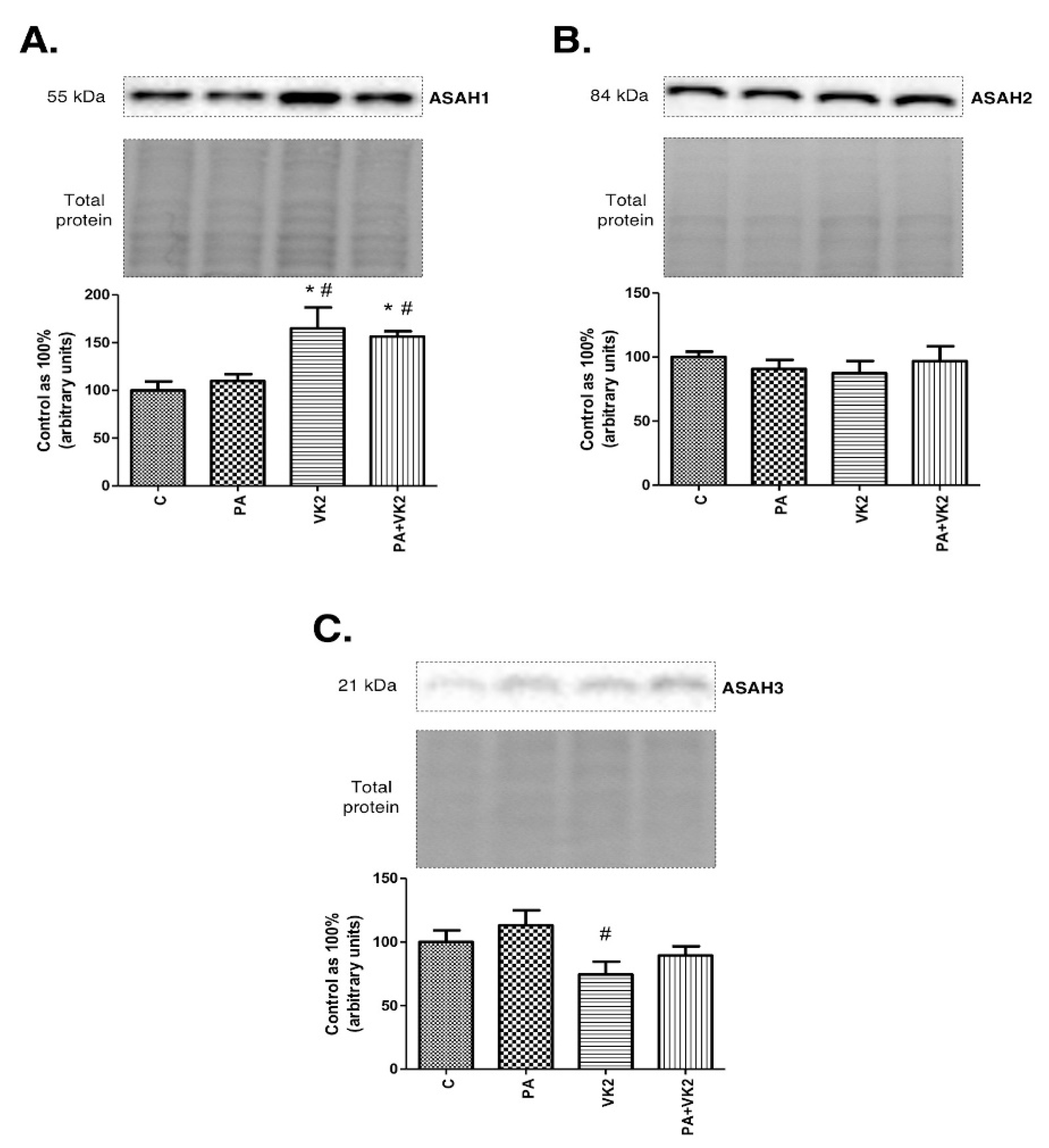 Molecules 26 03377 g003 Molecules 26 03377 g003